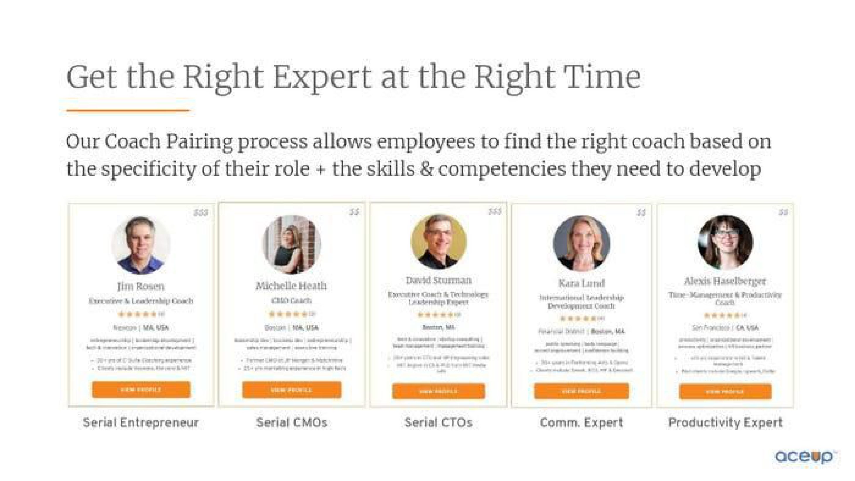 AceUp Pitch Deck — page 10