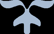 Page 1 Image 2