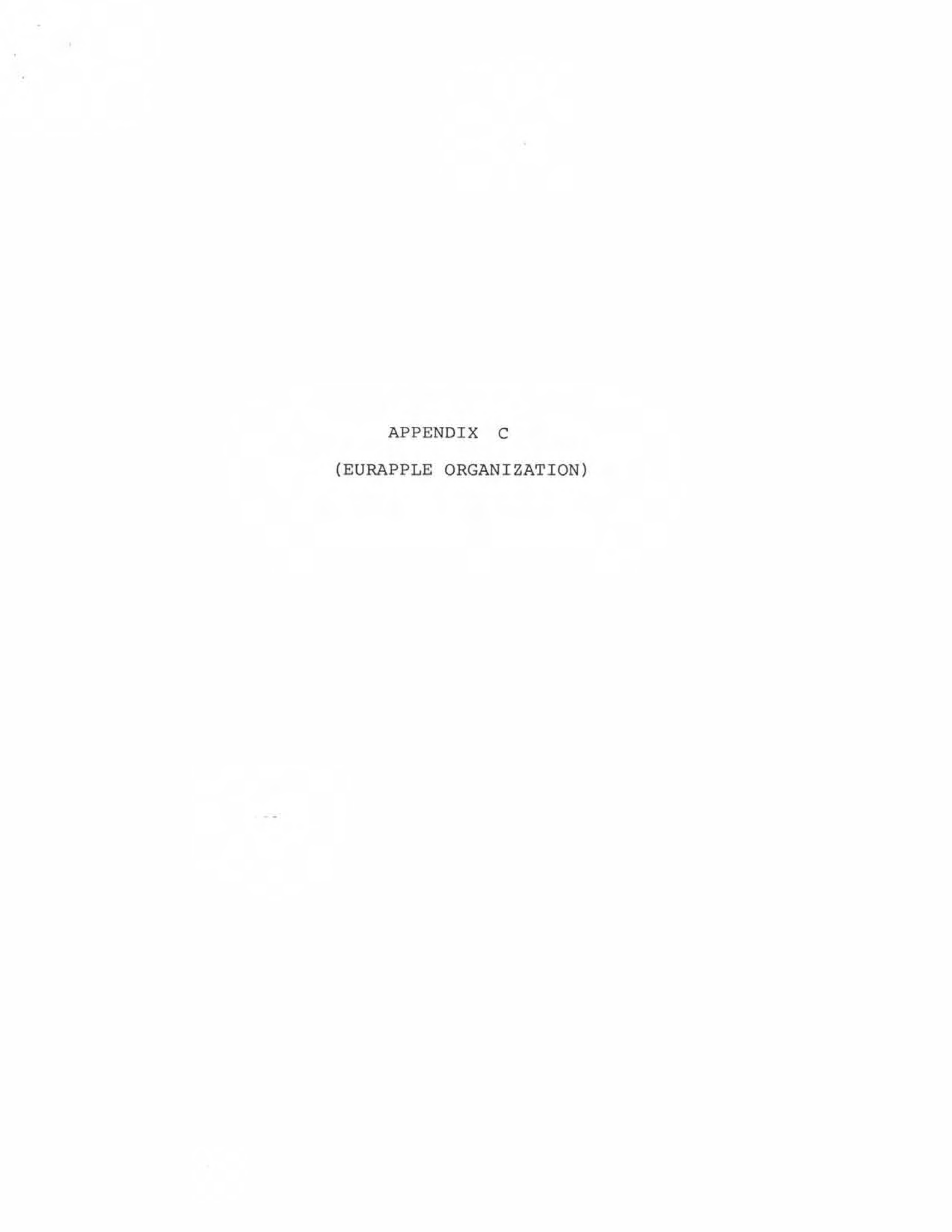 Apple Business Plan — page 33