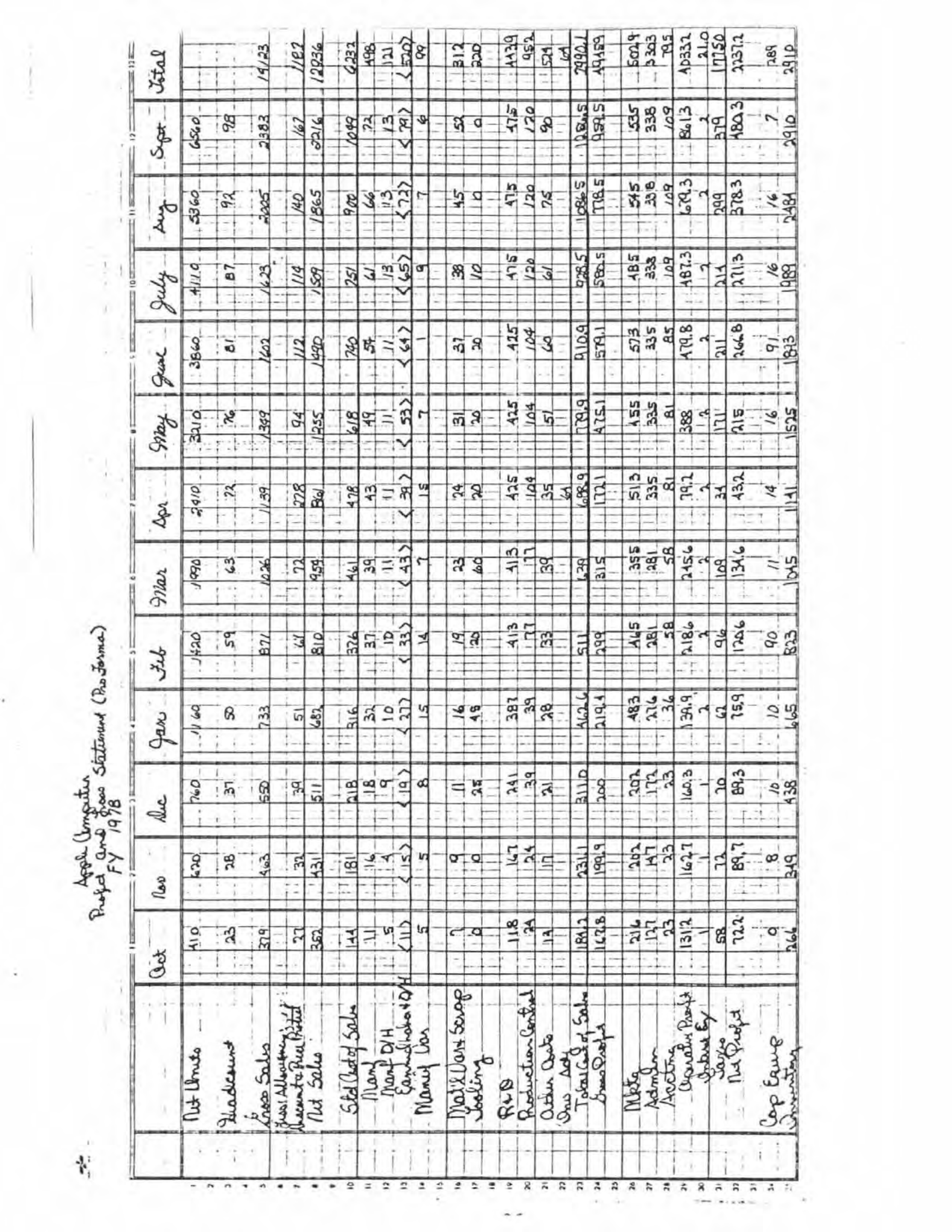 Apple Business Plan — page 45