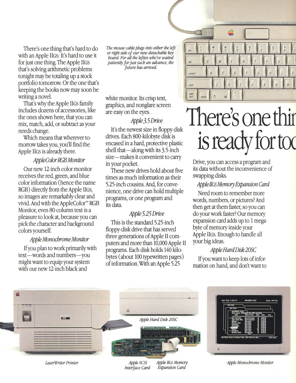 Page 10 Image 1