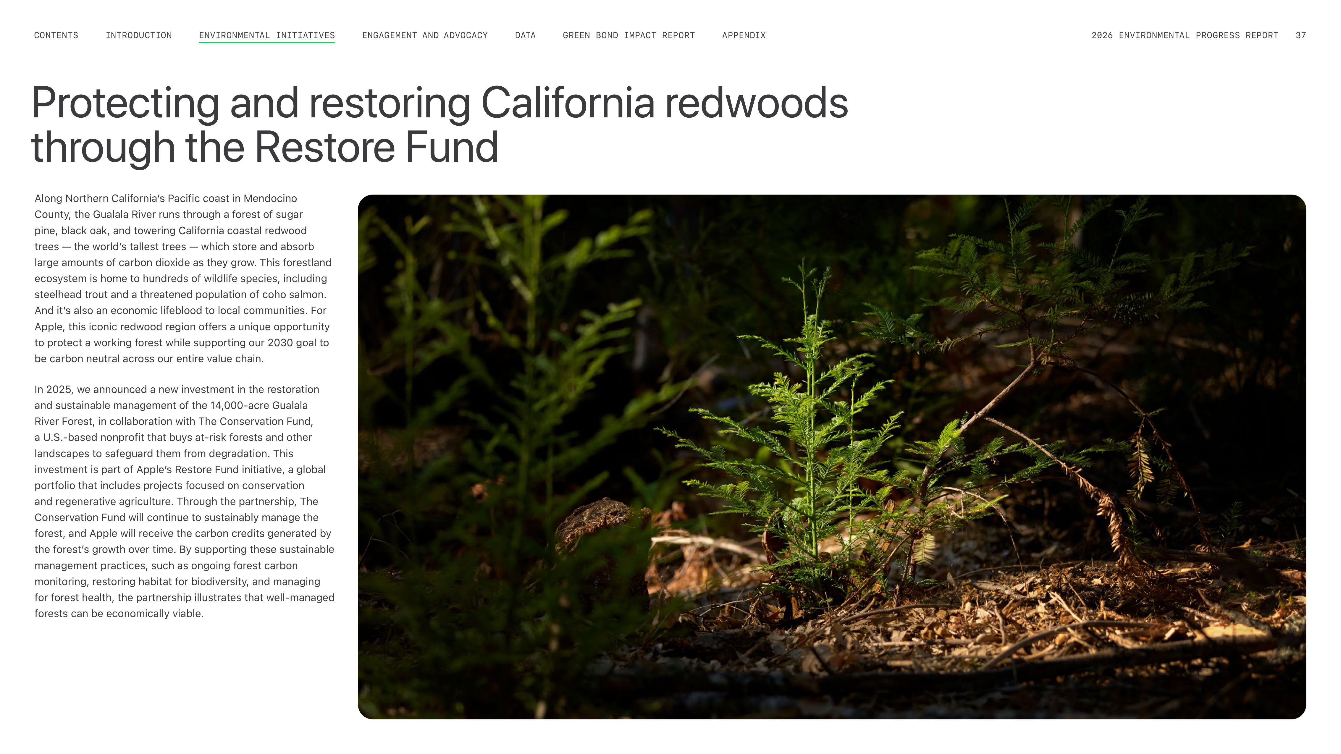 Apple Environmental Progress Report — page 37