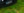 Page 5 Image 74