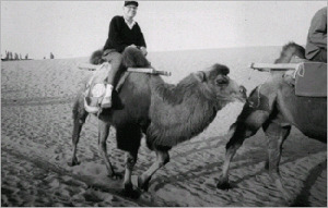 Page 362 Image 1