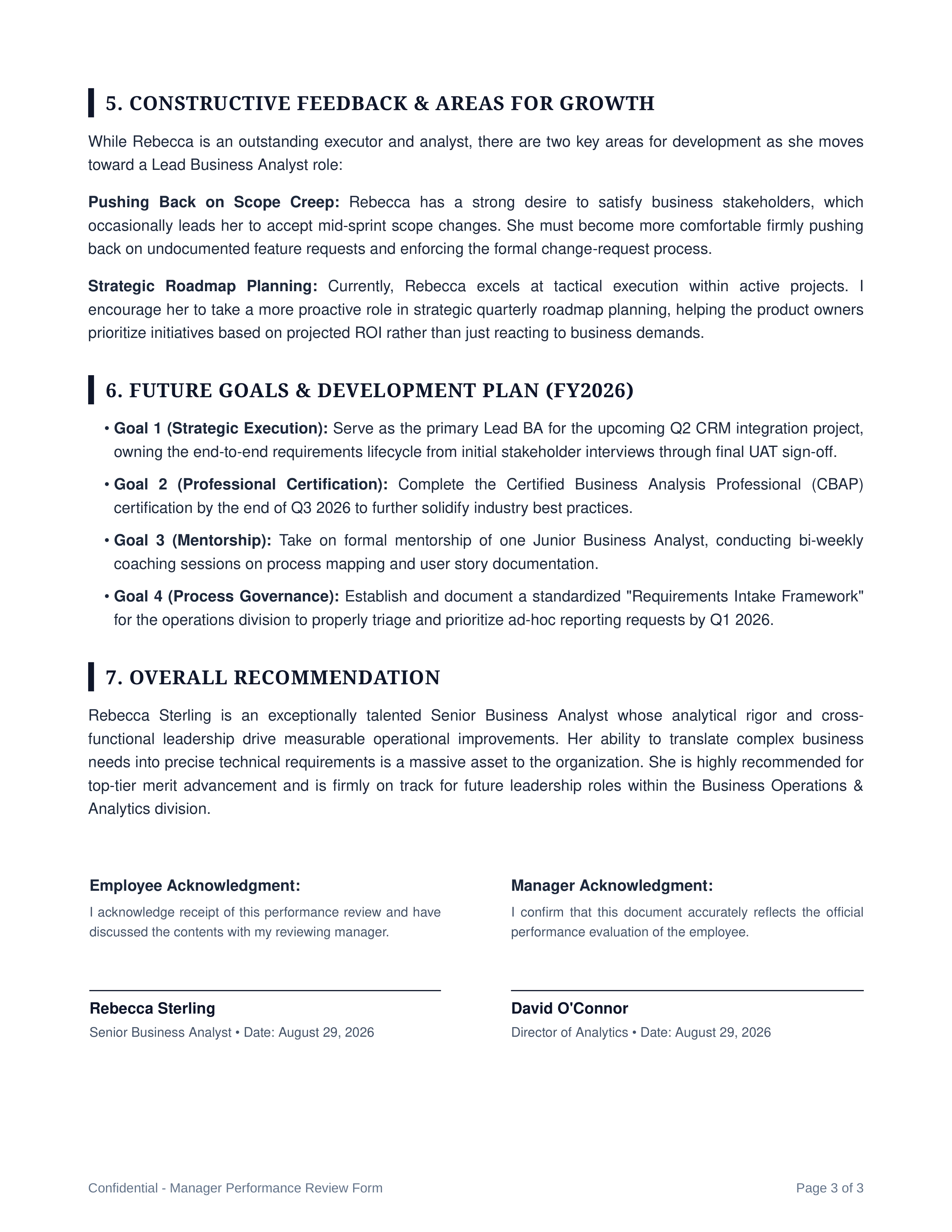 Business Analyst Performance Review — page 3