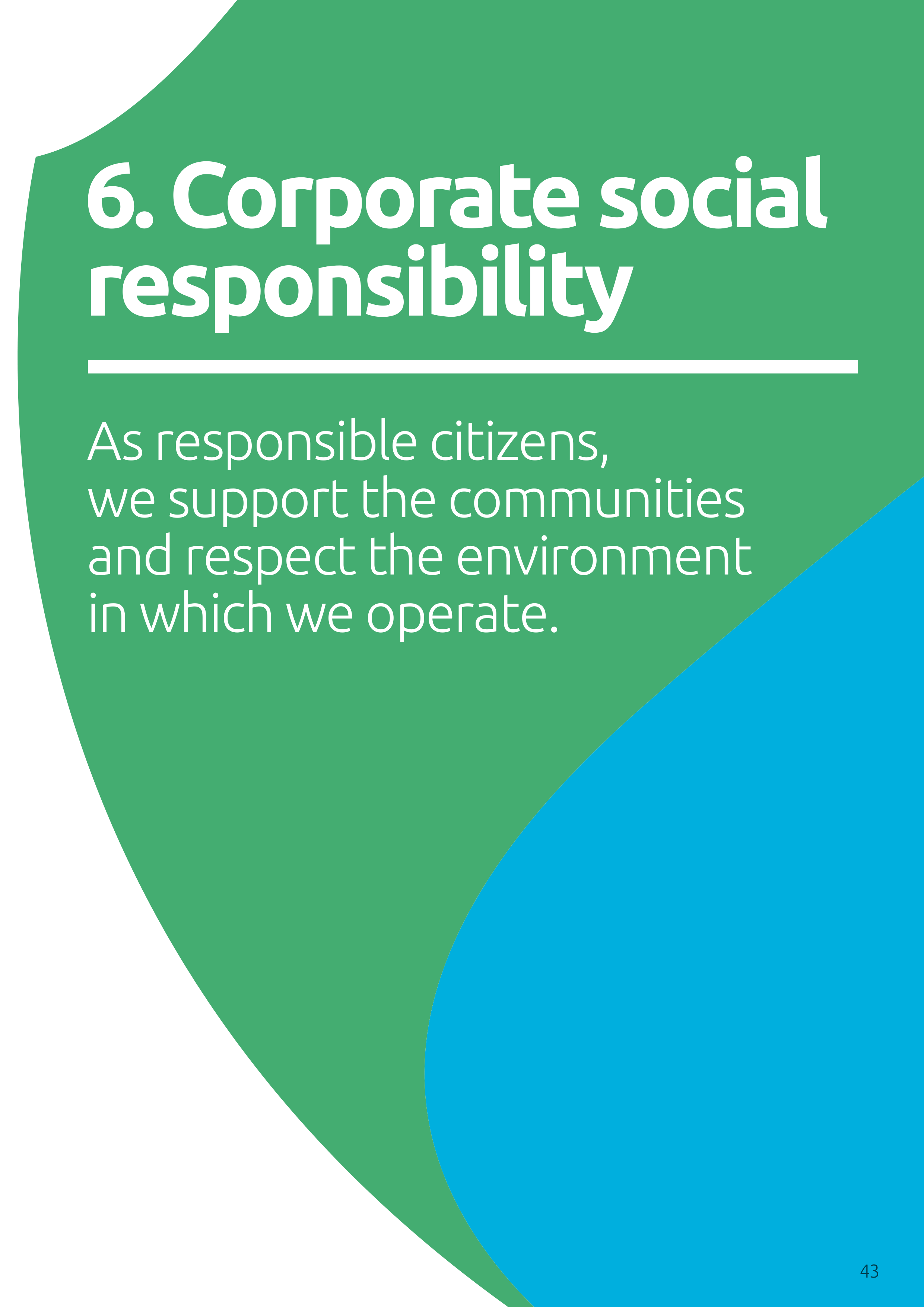 Capgemini Our Code of Business Ethics Handbook — page 43