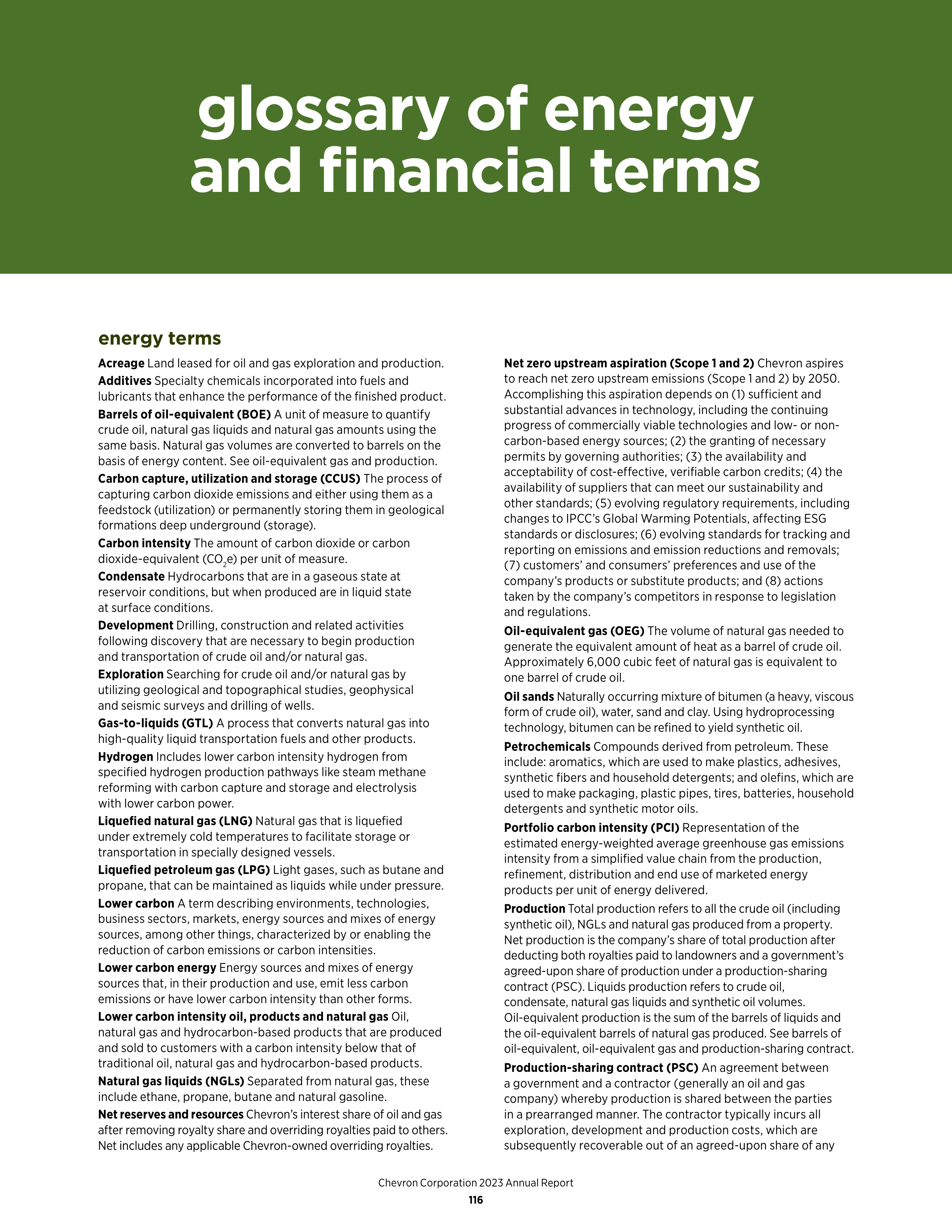 Chevron Annual Report — page 108