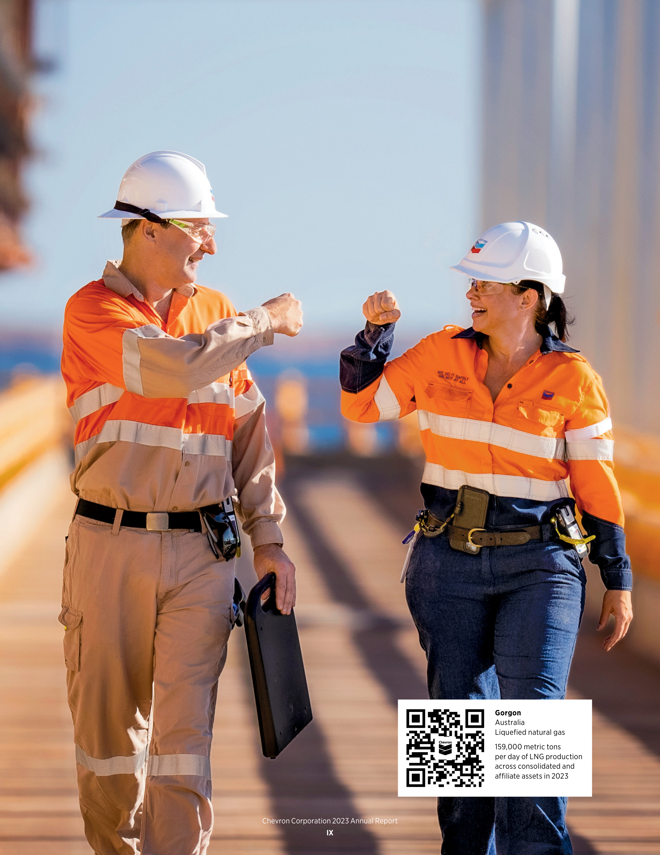 Chevron Annual Report — page 11
