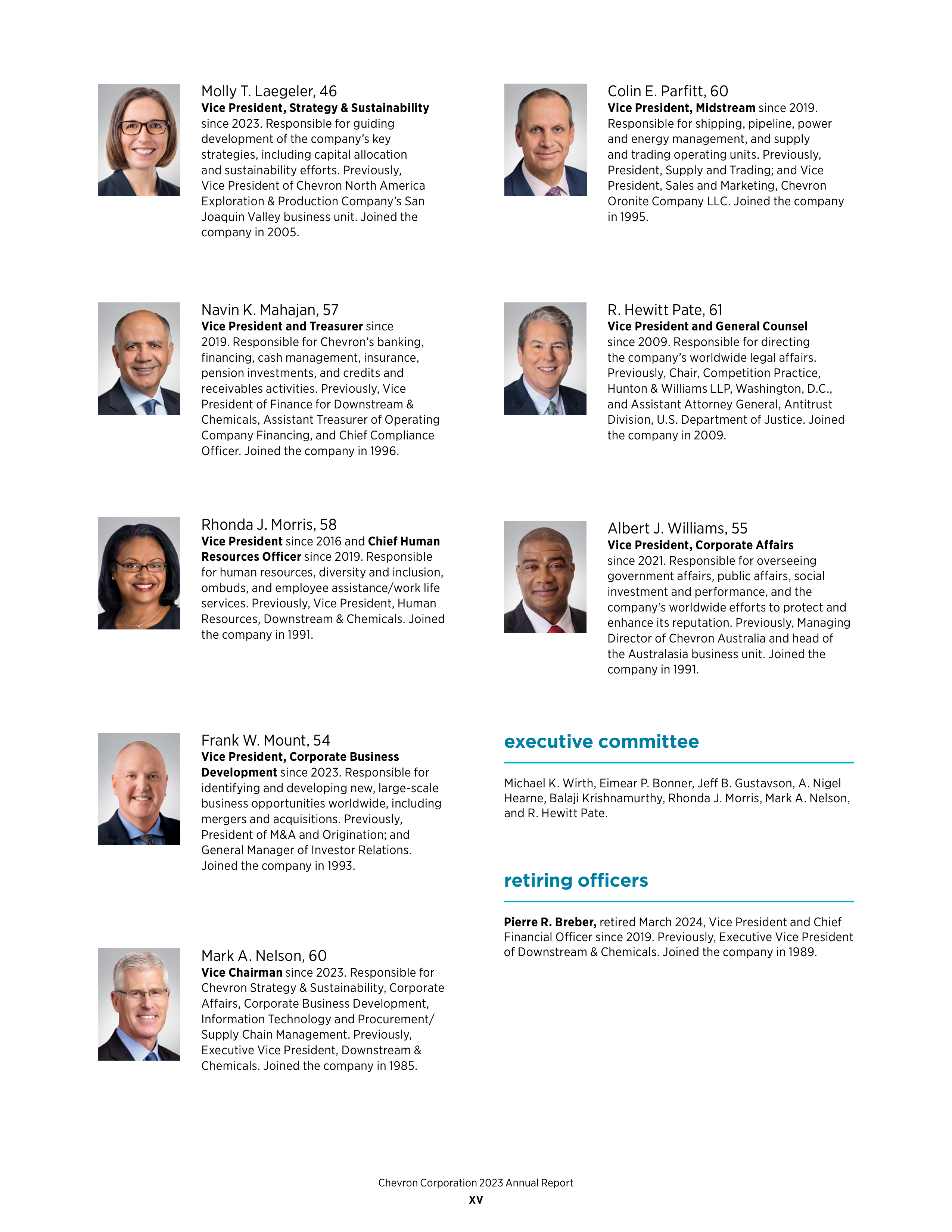 Chevron Annual Report — page 17
