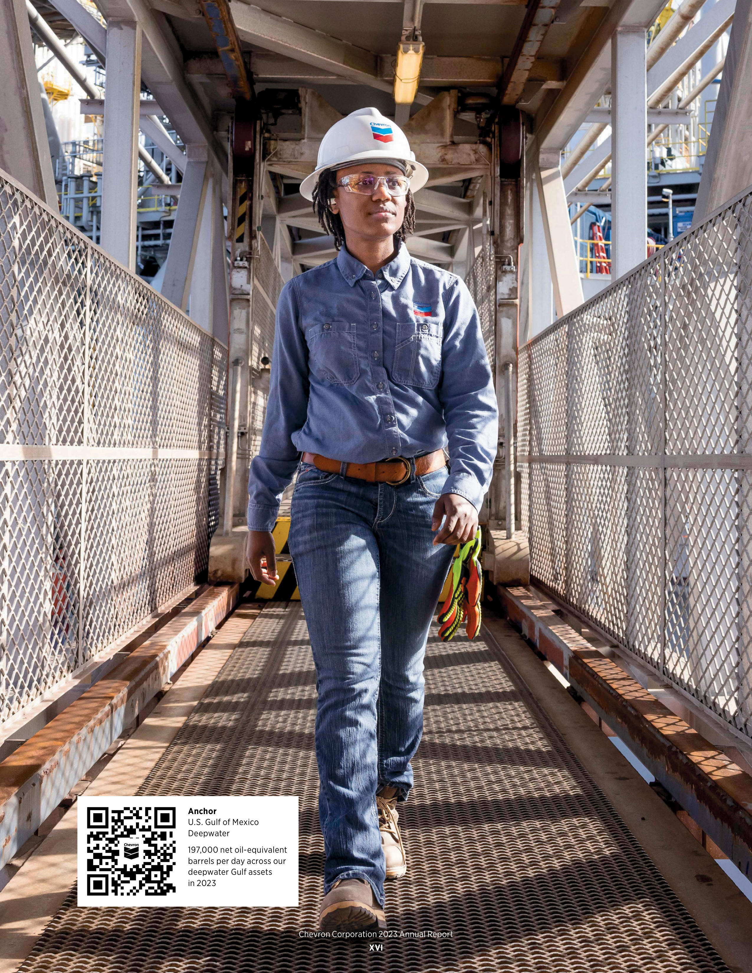 Chevron Annual Report — page 18