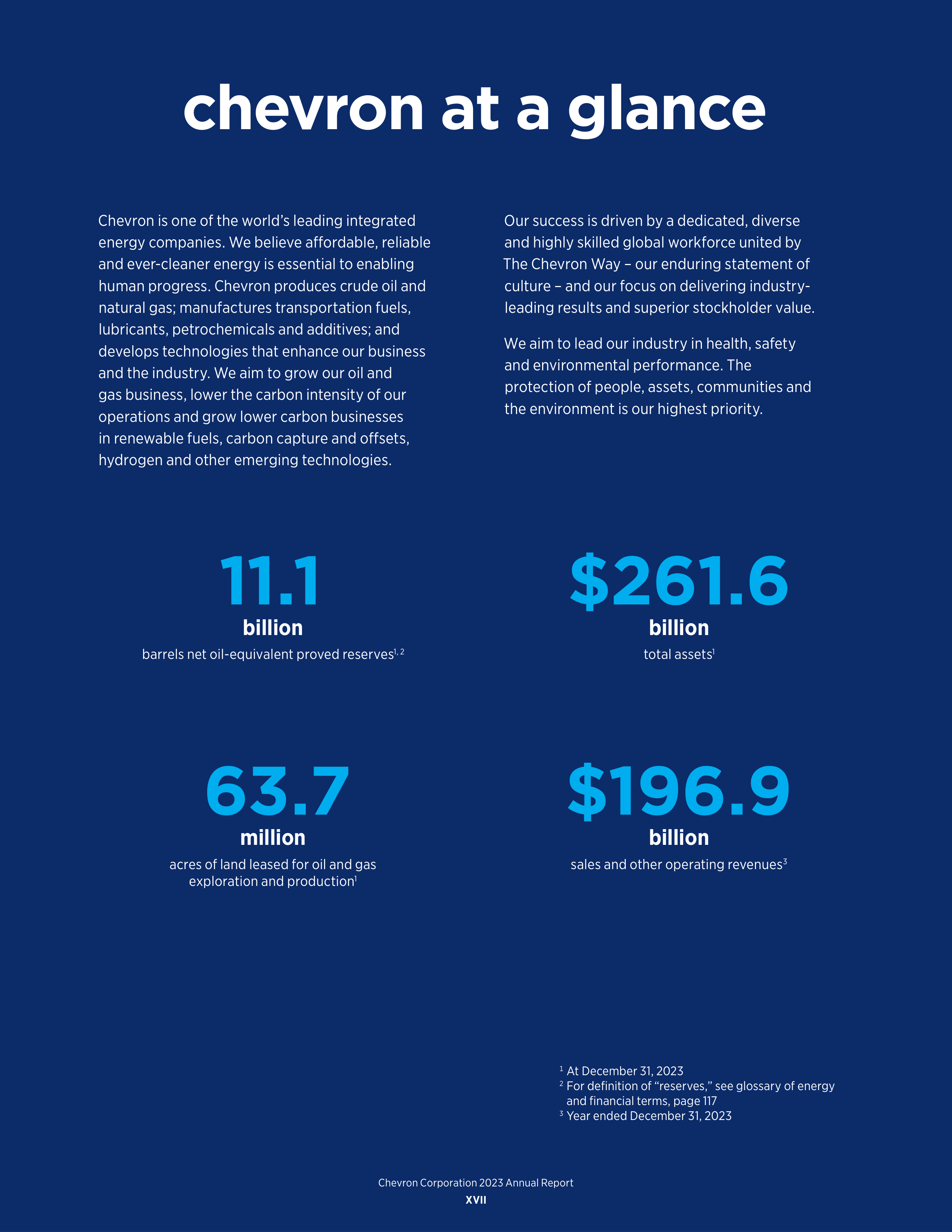 Chevron Annual Report — page 19