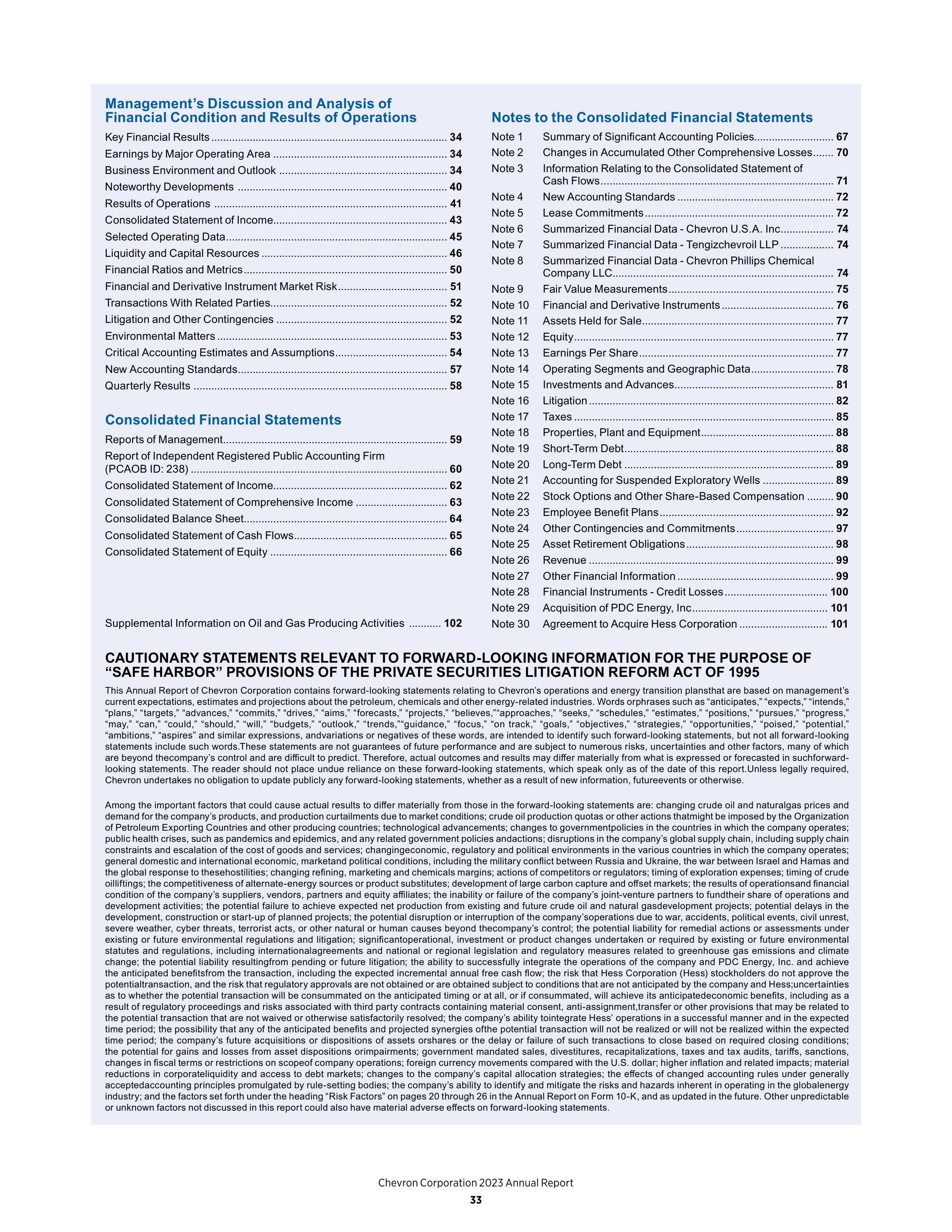 Chevron Annual Report — page 25