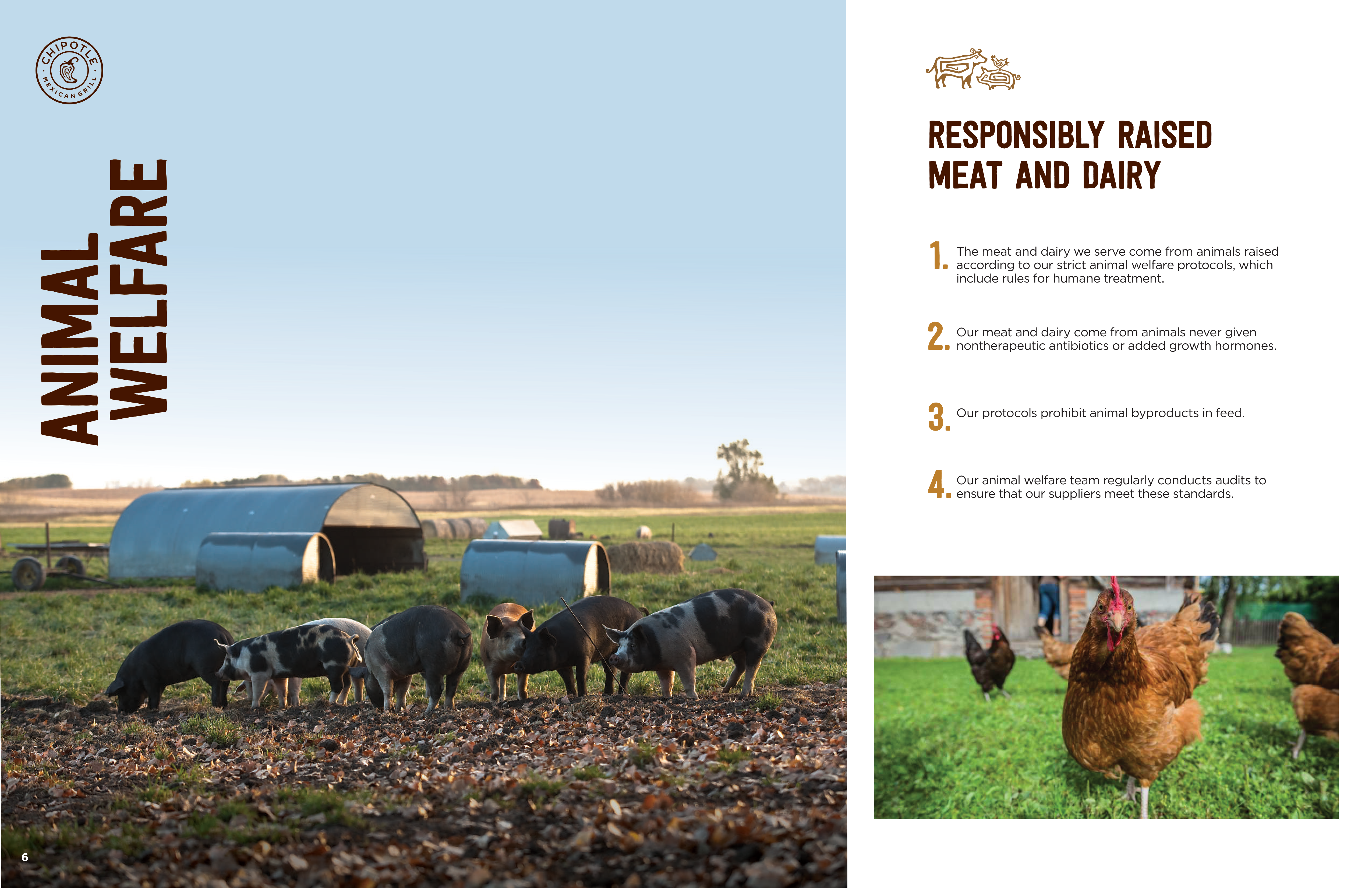 Chipotle Sustainability Magazine — page 6