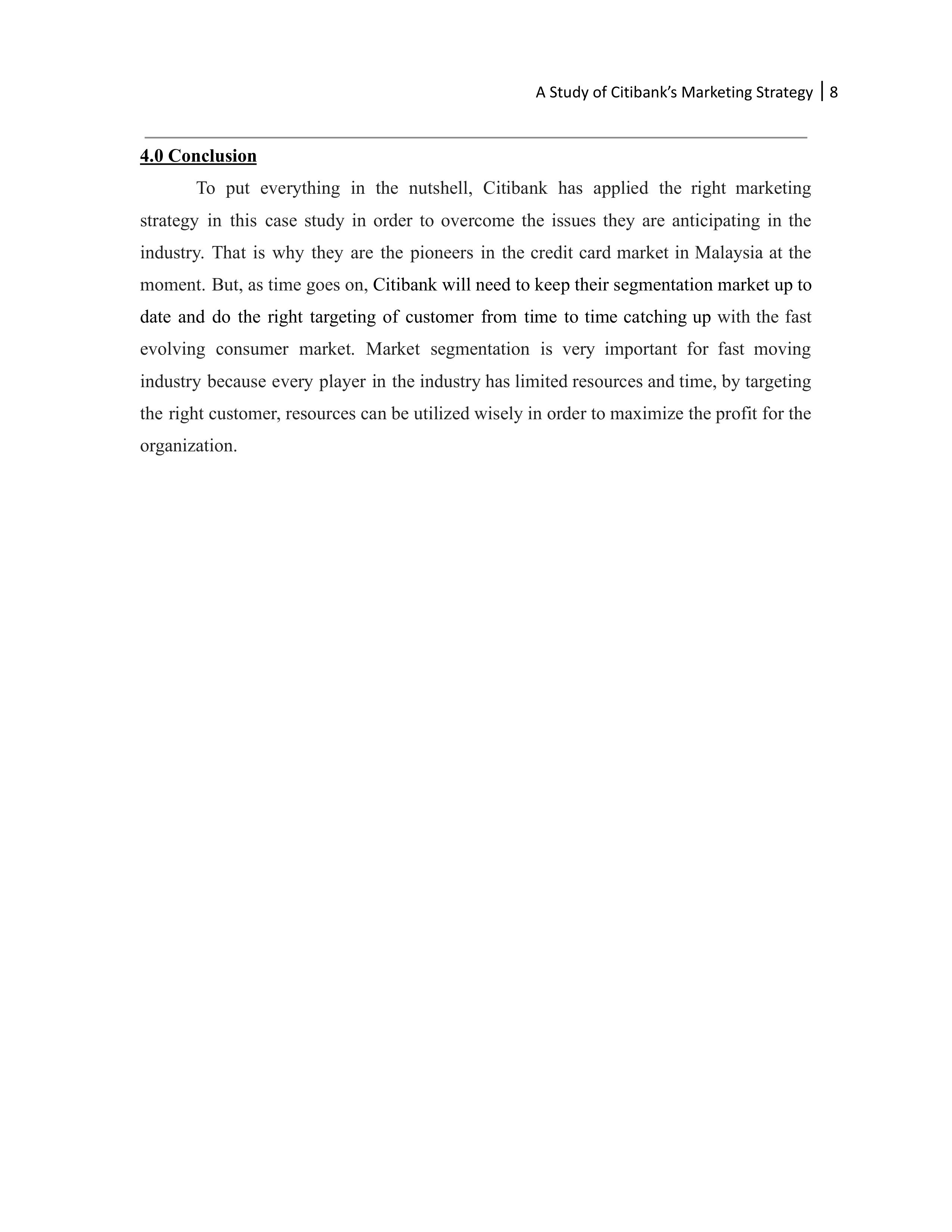 Citibank Marketing Strategy — page 8