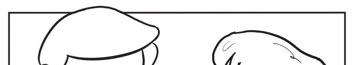 Page 115 Image 4