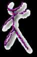 Page 5 Image 1