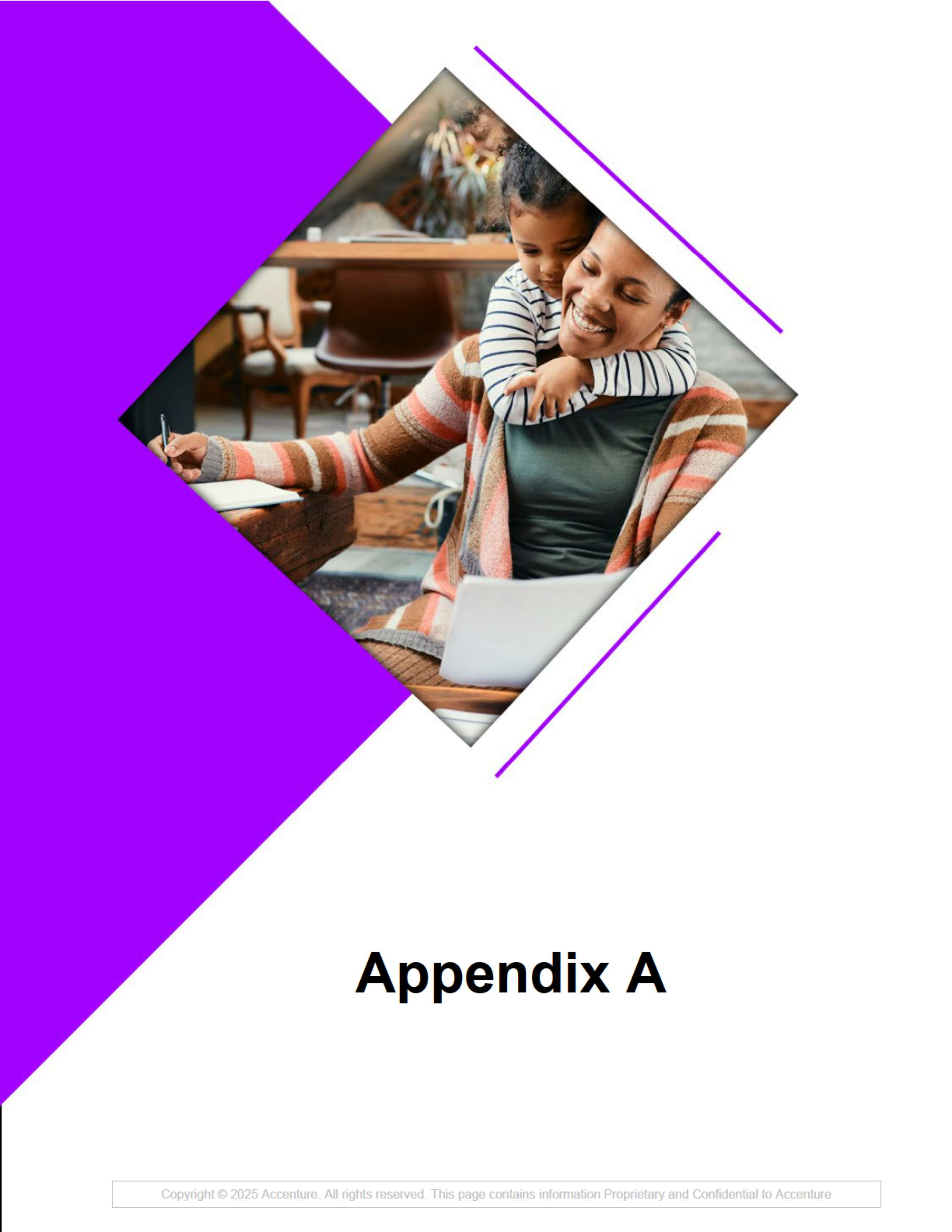 Contract Accenture Redacted — page 213