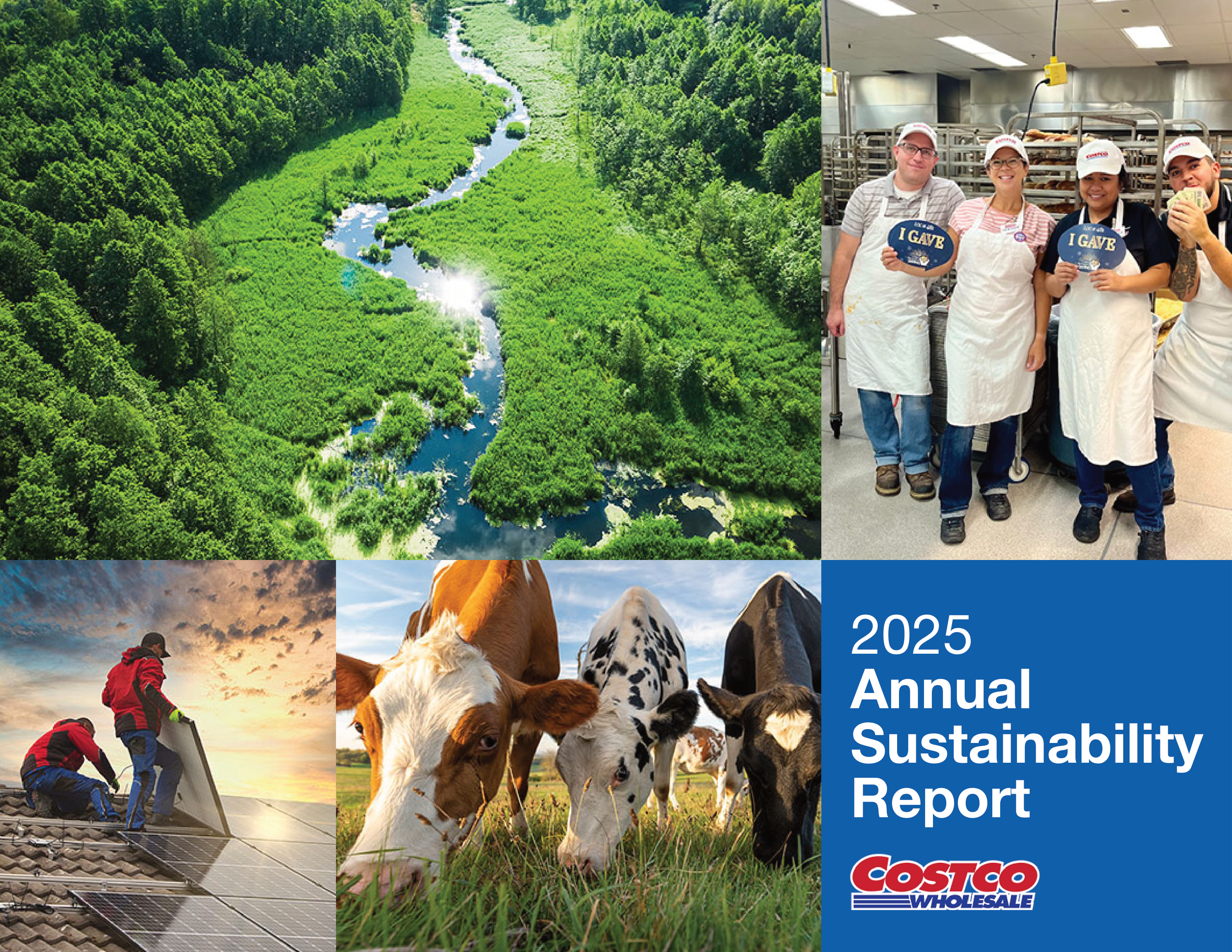 Costco Sustainability Report — page 1