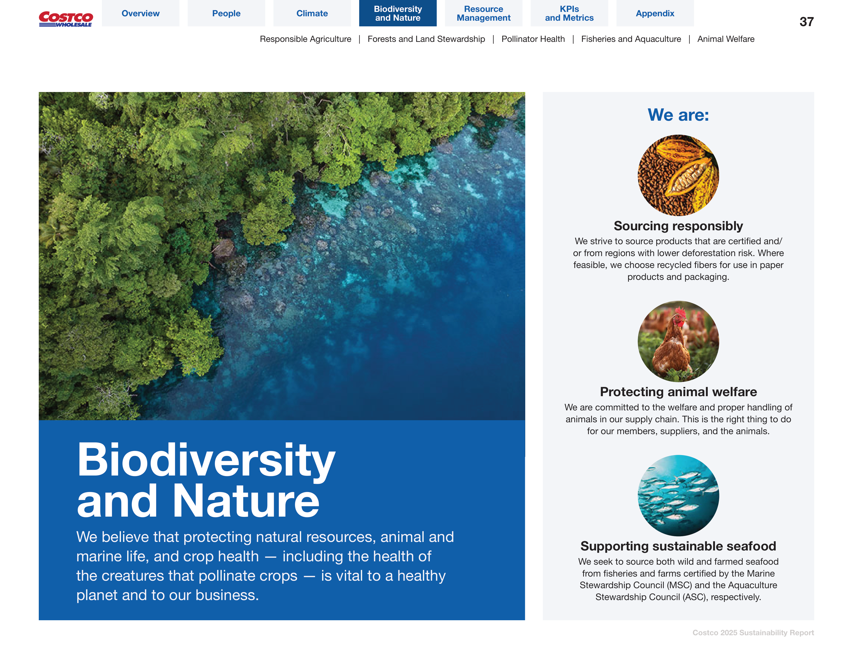 Costco Sustainability Report — page 37