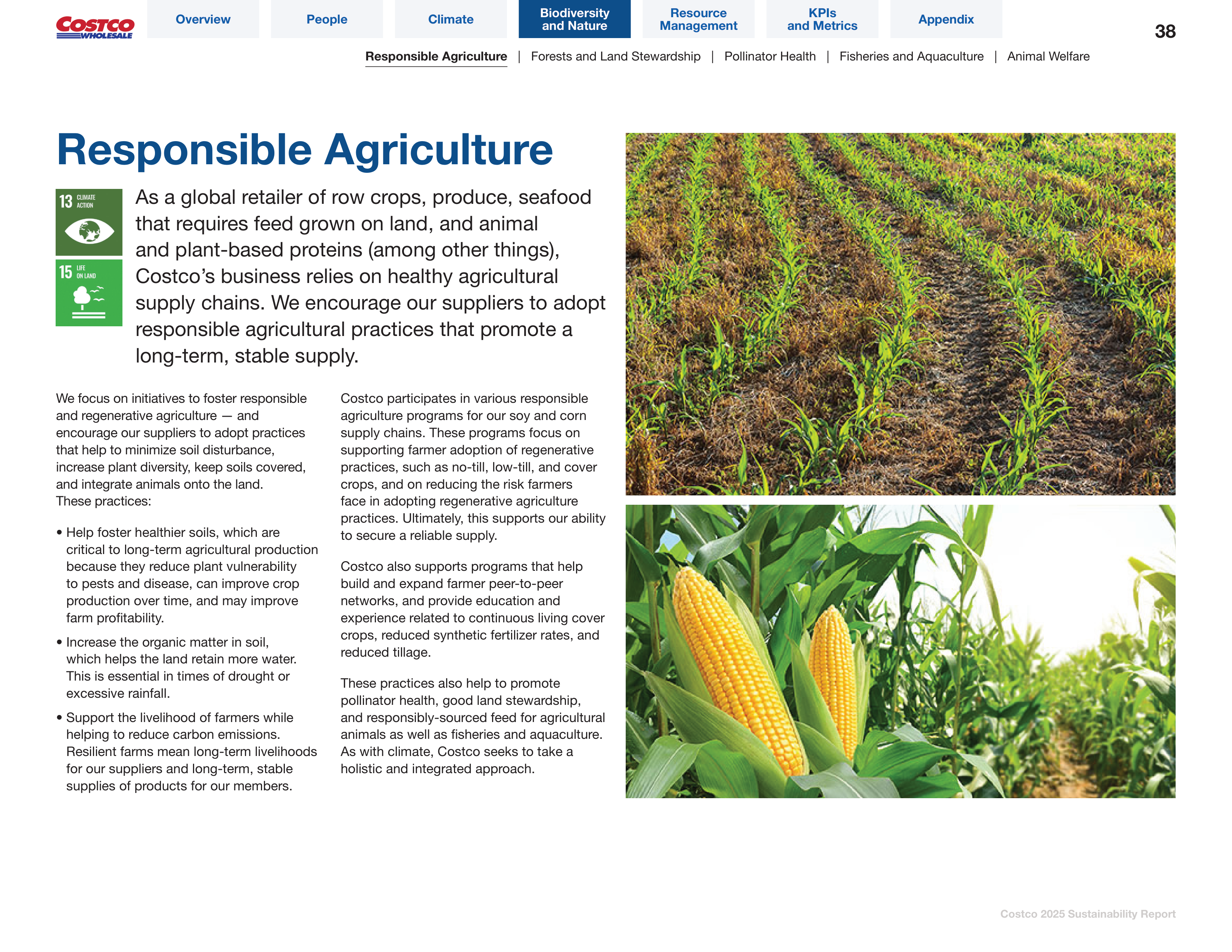 Costco Sustainability Report — page 38