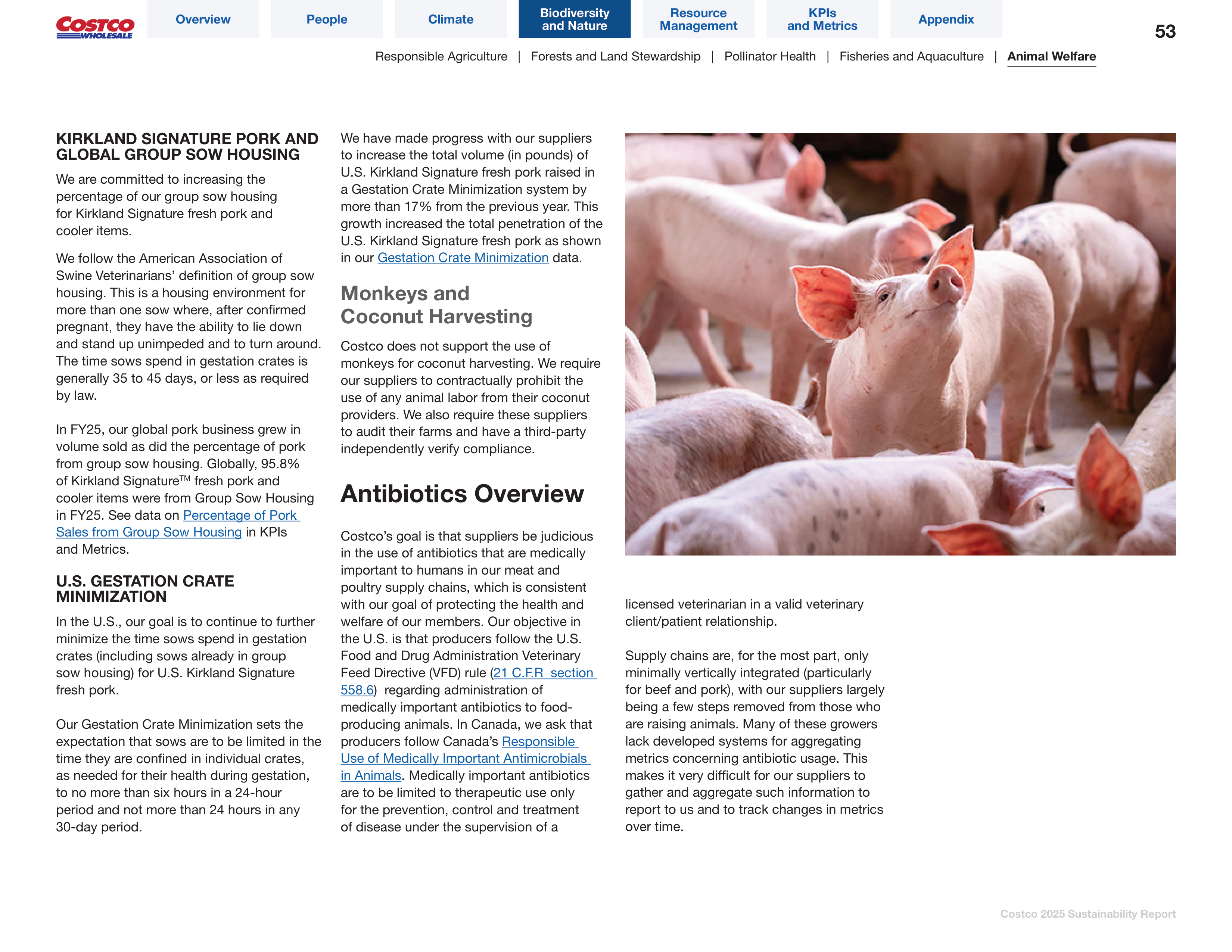 Costco Sustainability Report — page 53