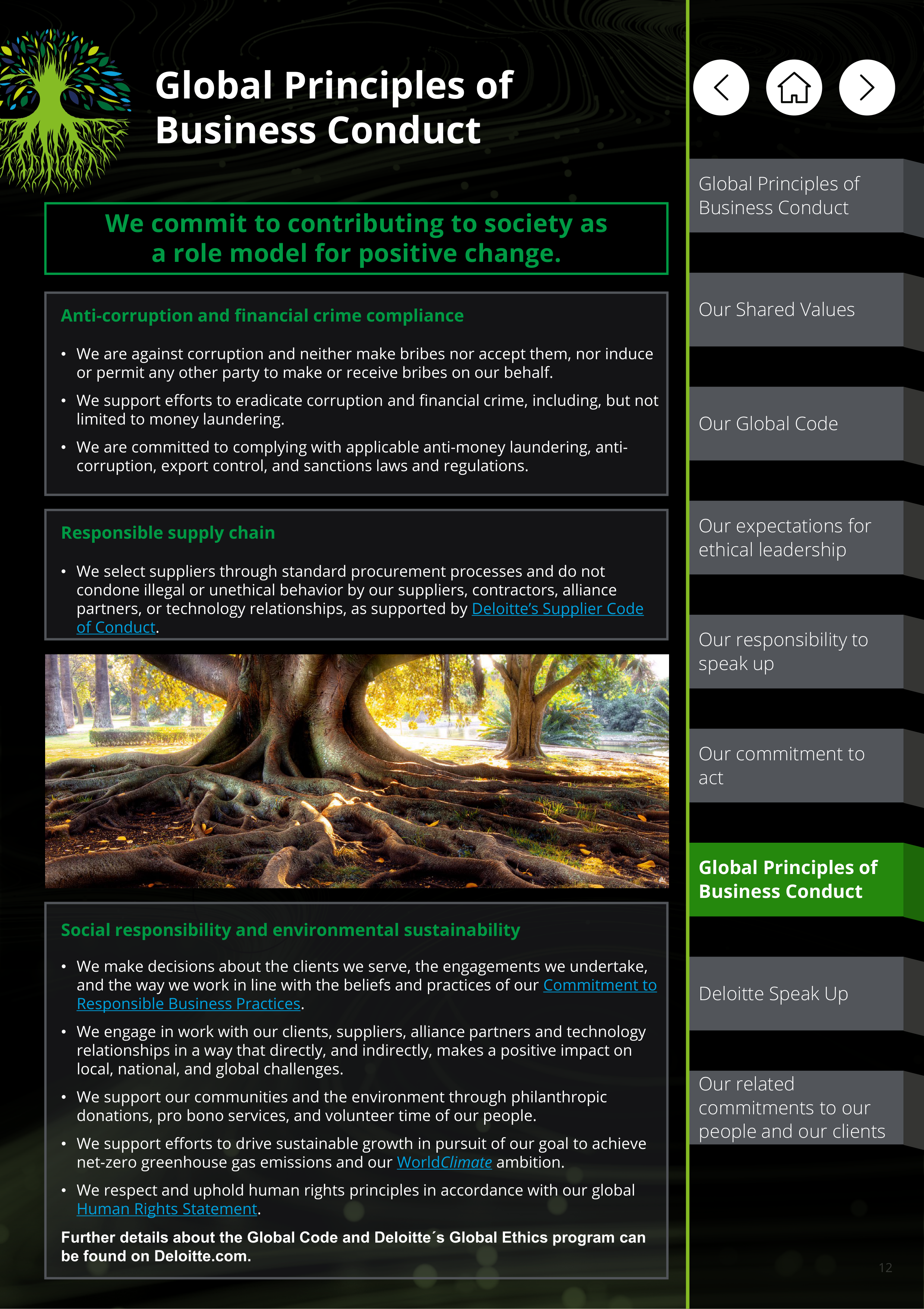 Deloitte Global Principles of Business Conduct Handbook — page 12