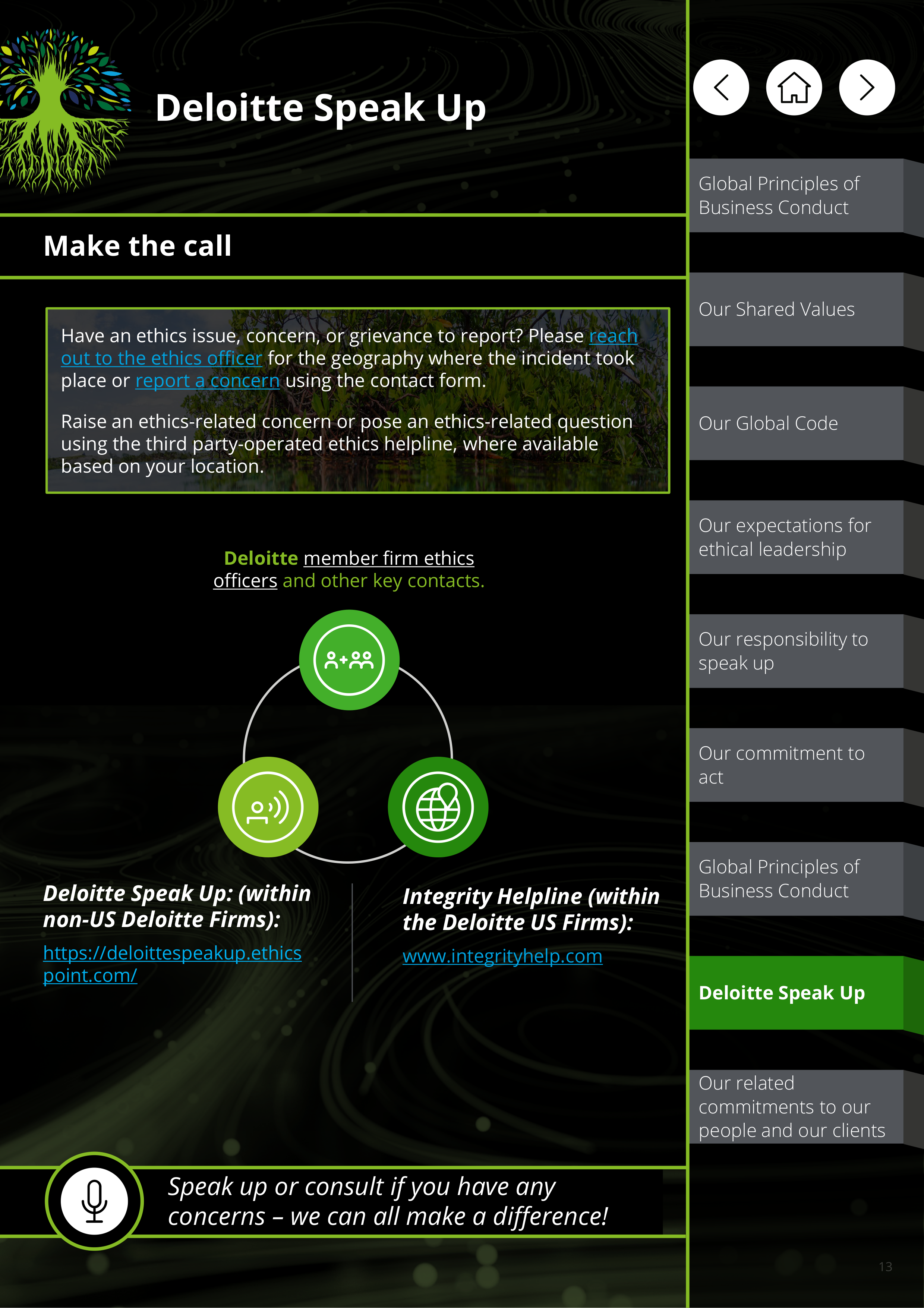 Deloitte Global Principles of Business Conduct Handbook — page 13