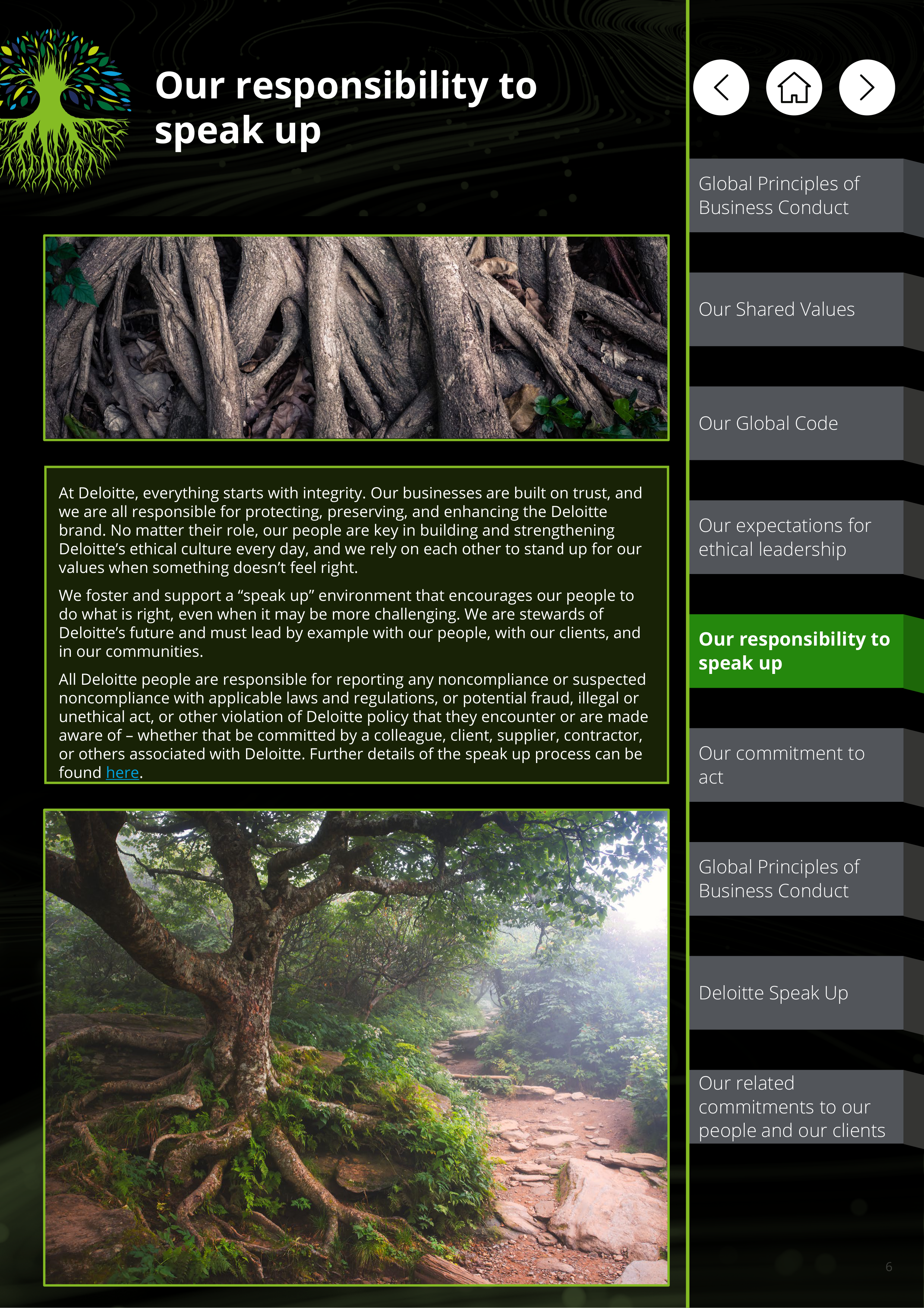 Deloitte Global Principles of Business Conduct Handbook — page 6