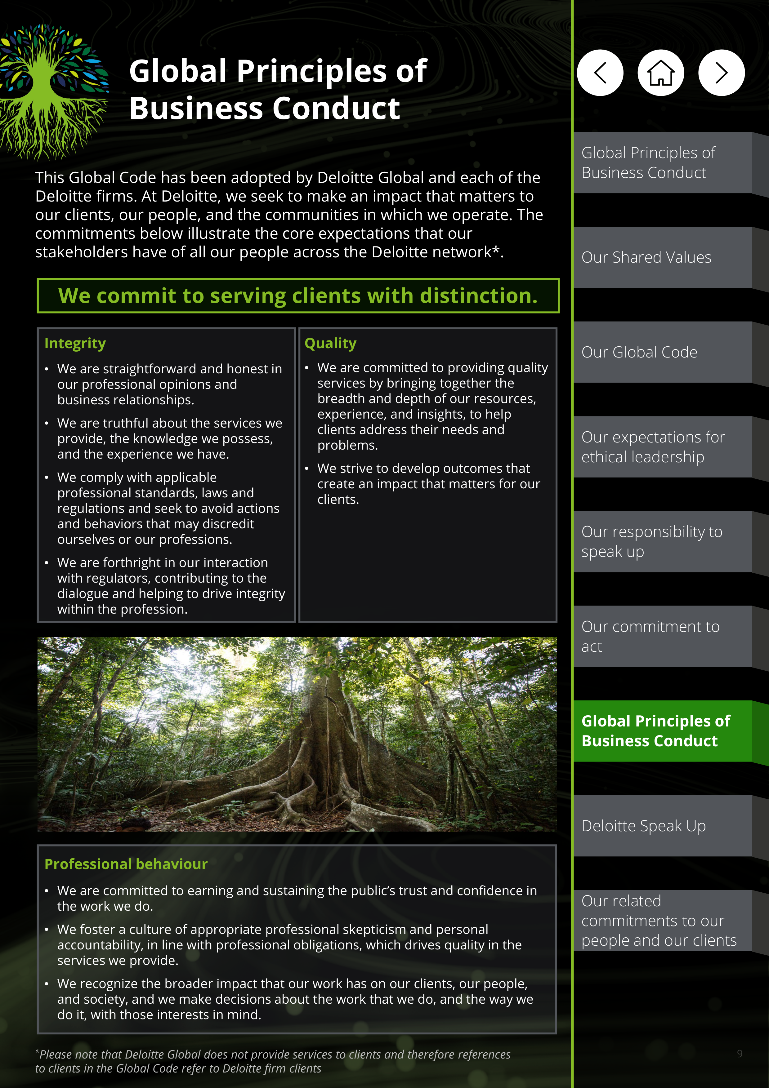 Deloitte Global Principles of Business Conduct Handbook — page 9