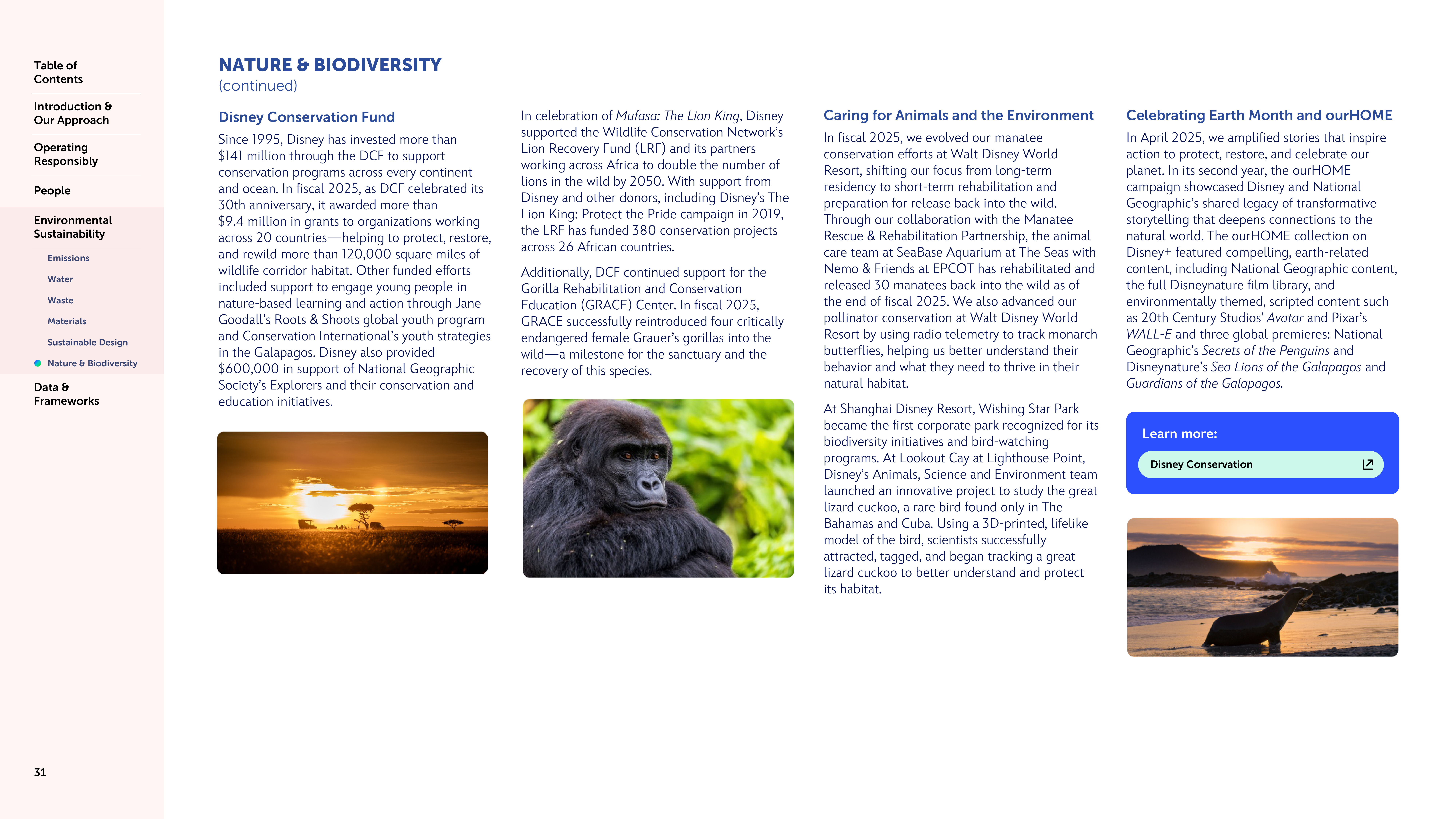 Disney Sustainability & Social Impact Report — page 31