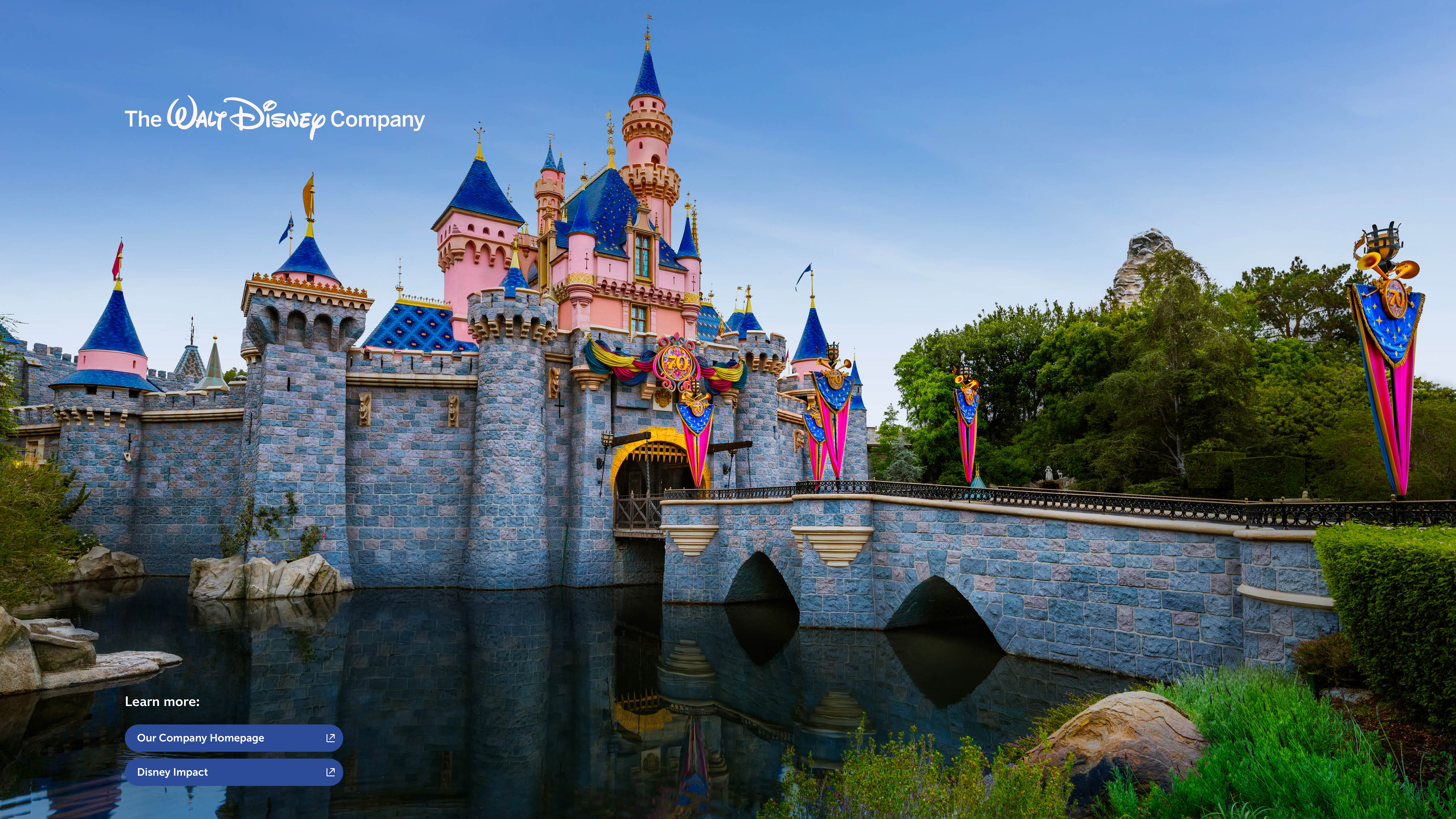 Disney Sustainability & Social Impact Report — page 49