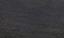 Page 3 Image 5