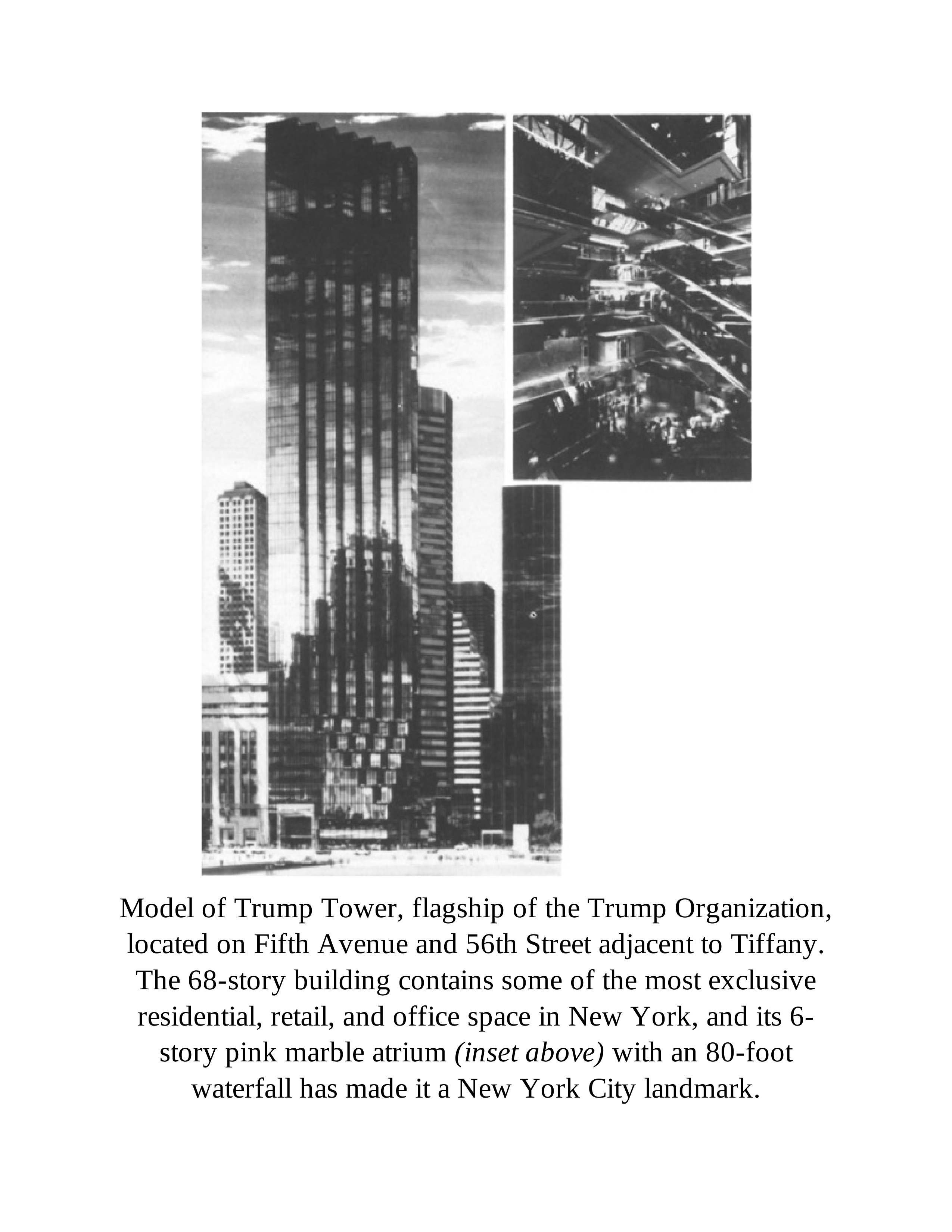 Ghostwriter Tony Schwartz Trump The Art of the Deal Biography — page 226