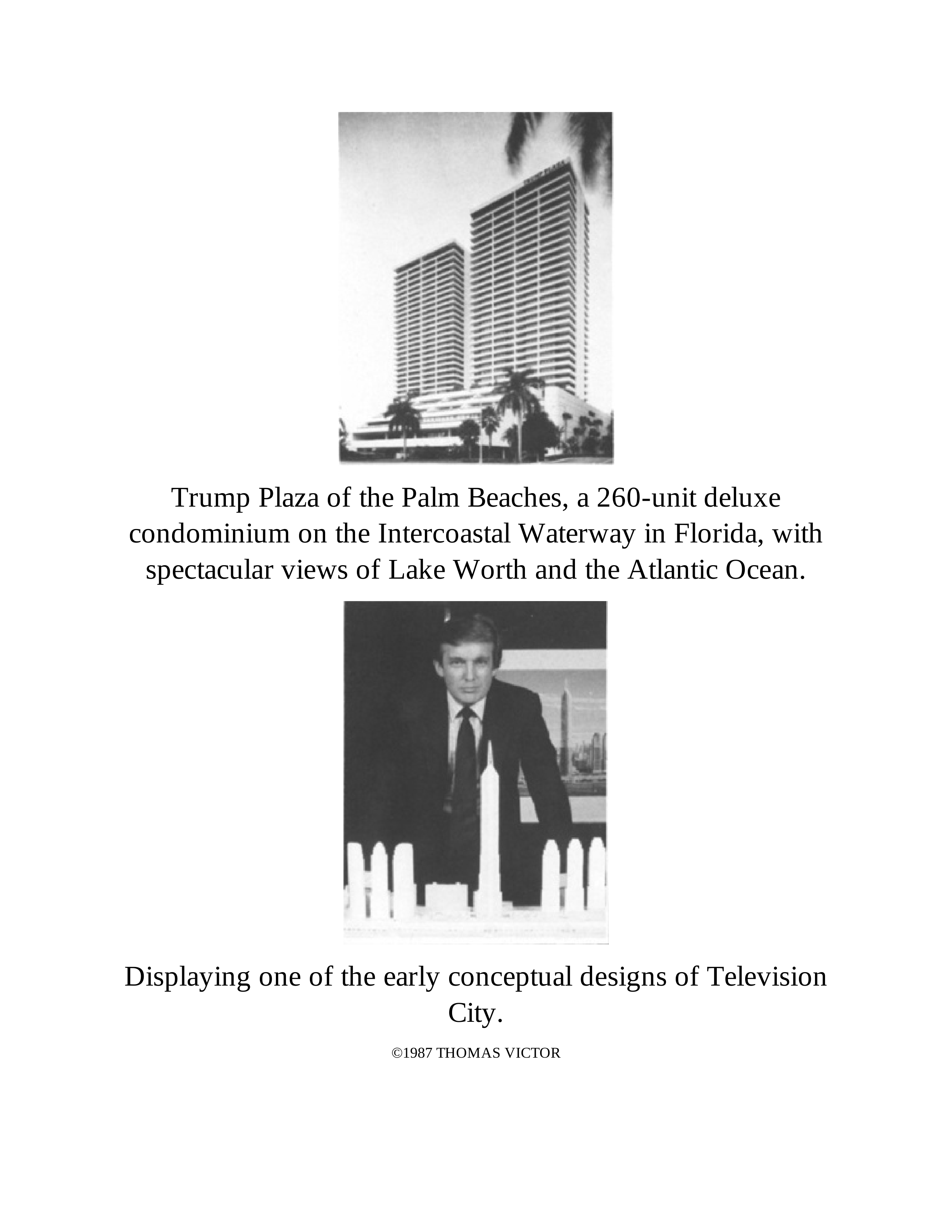 Ghostwriter Tony Schwartz Trump The Art of the Deal Biography — page 230