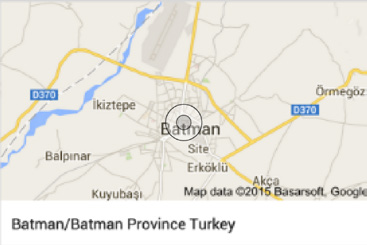 Page 31 Image 1