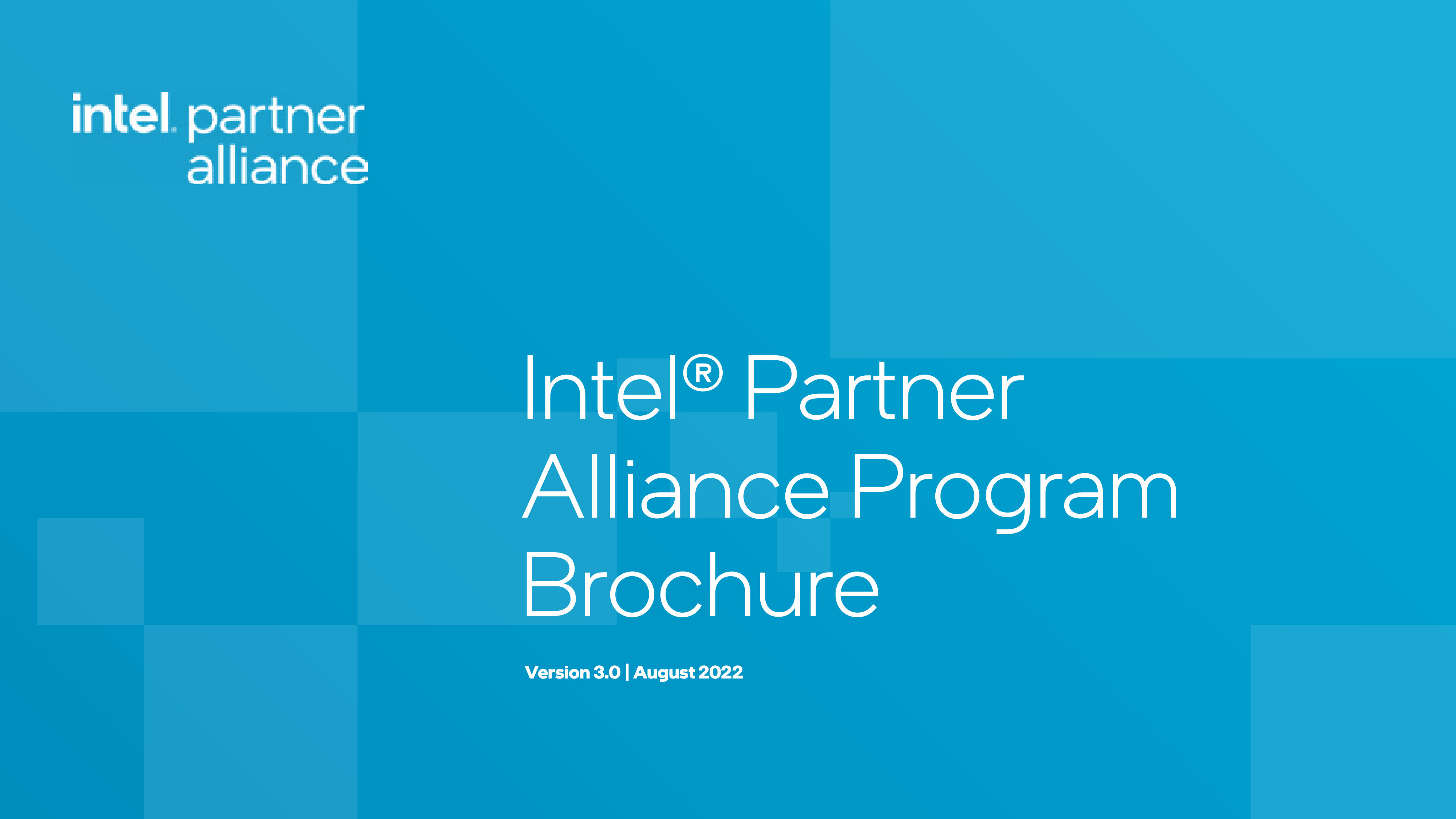 Intel Partner Alliance Program Brochure — page 1