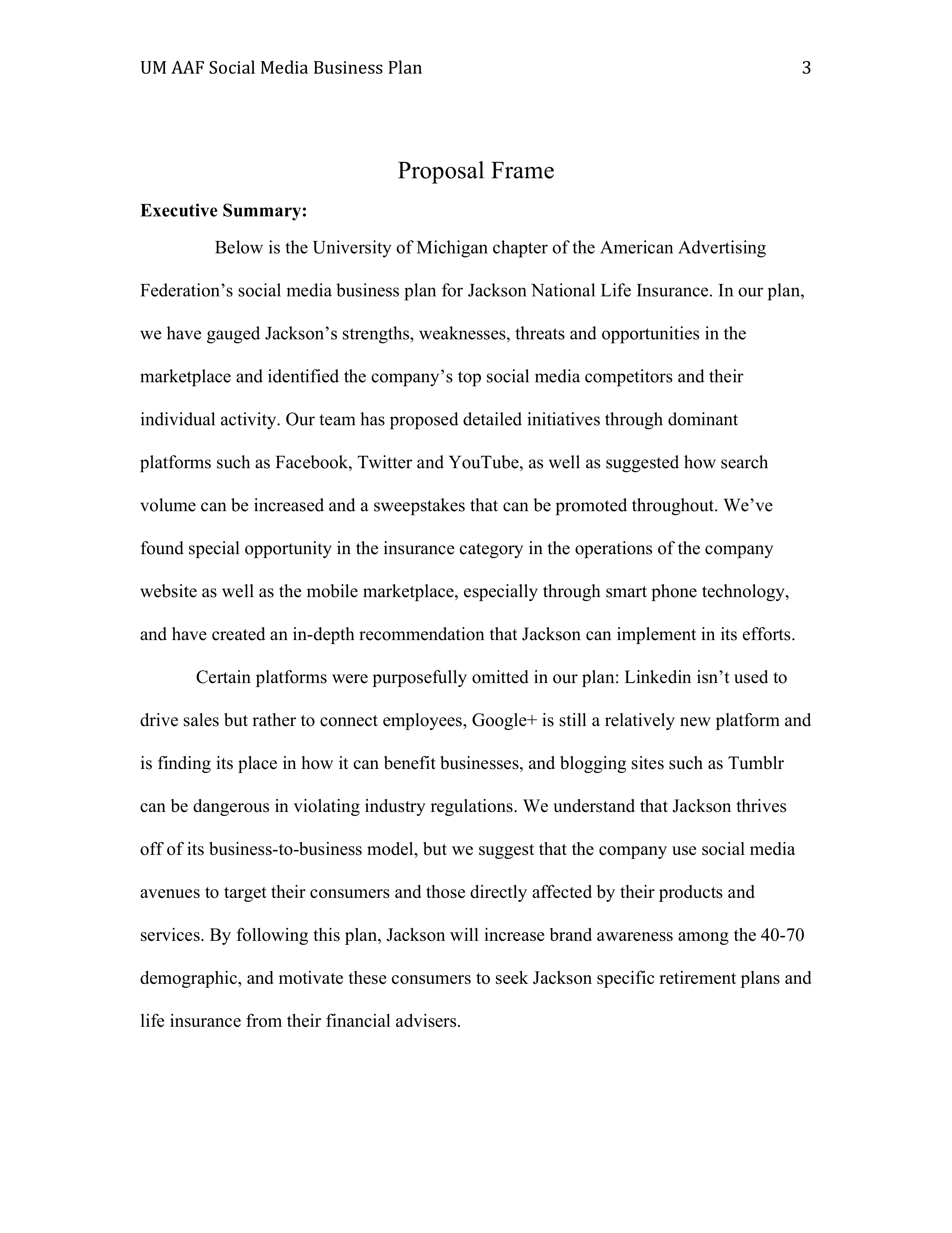 Jackson Business plan  — page 3