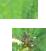 Page 1 Image 166