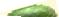 Page 1 Image 74