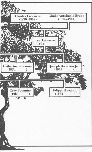 Page 18 Image 1