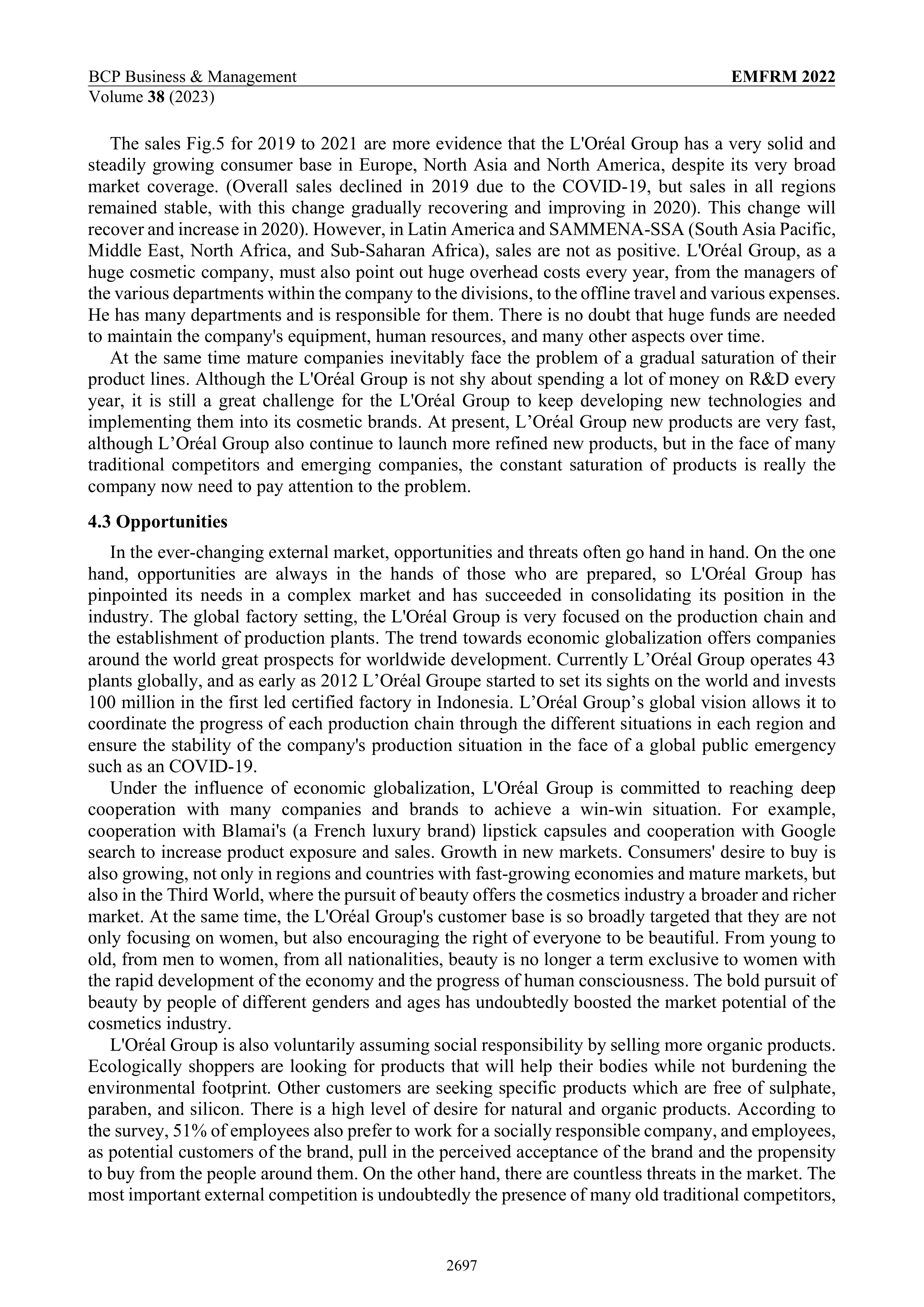 Loreal Marketing Strategy — page 6