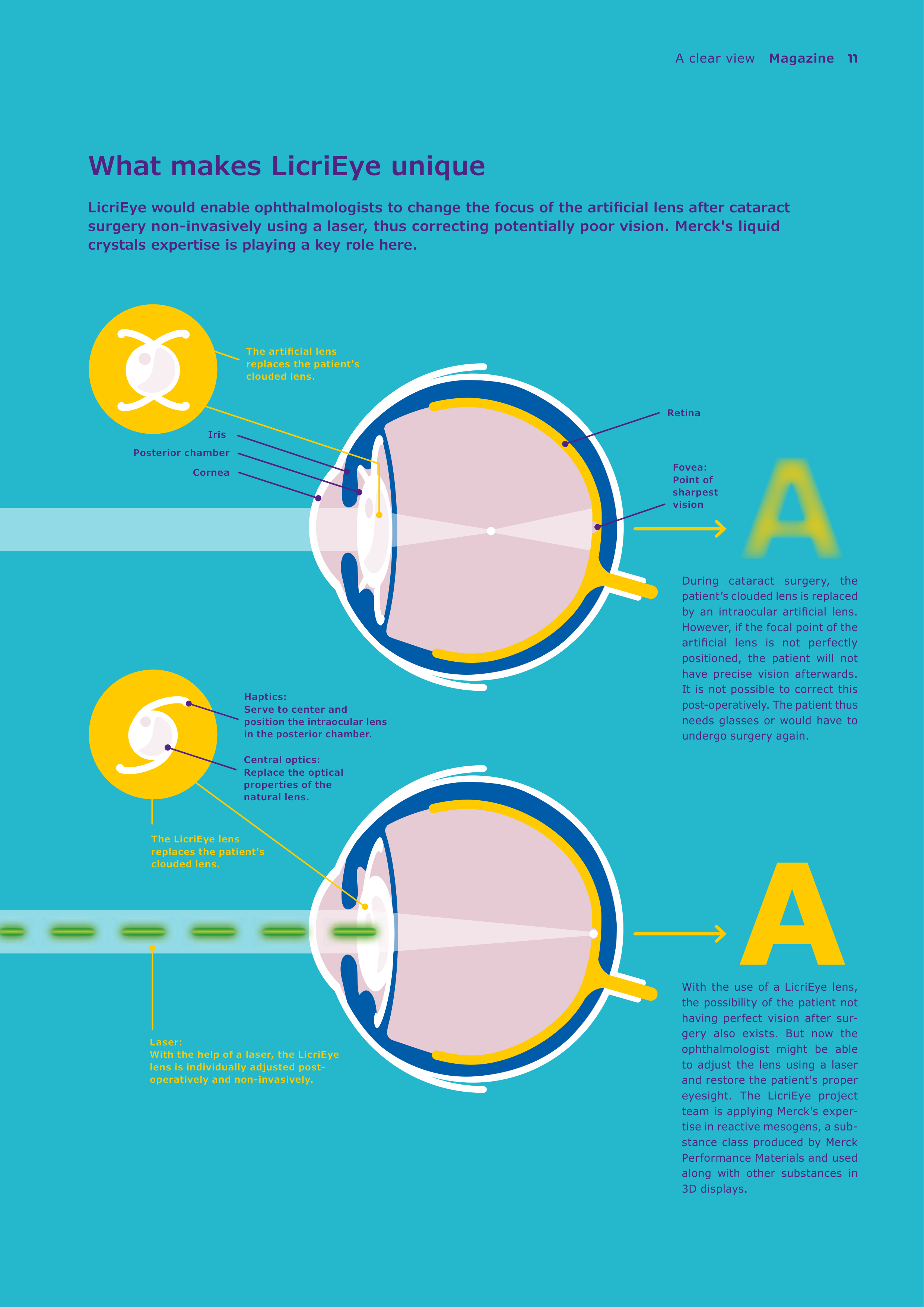 Merck Science Innovation Magazine — page 13
