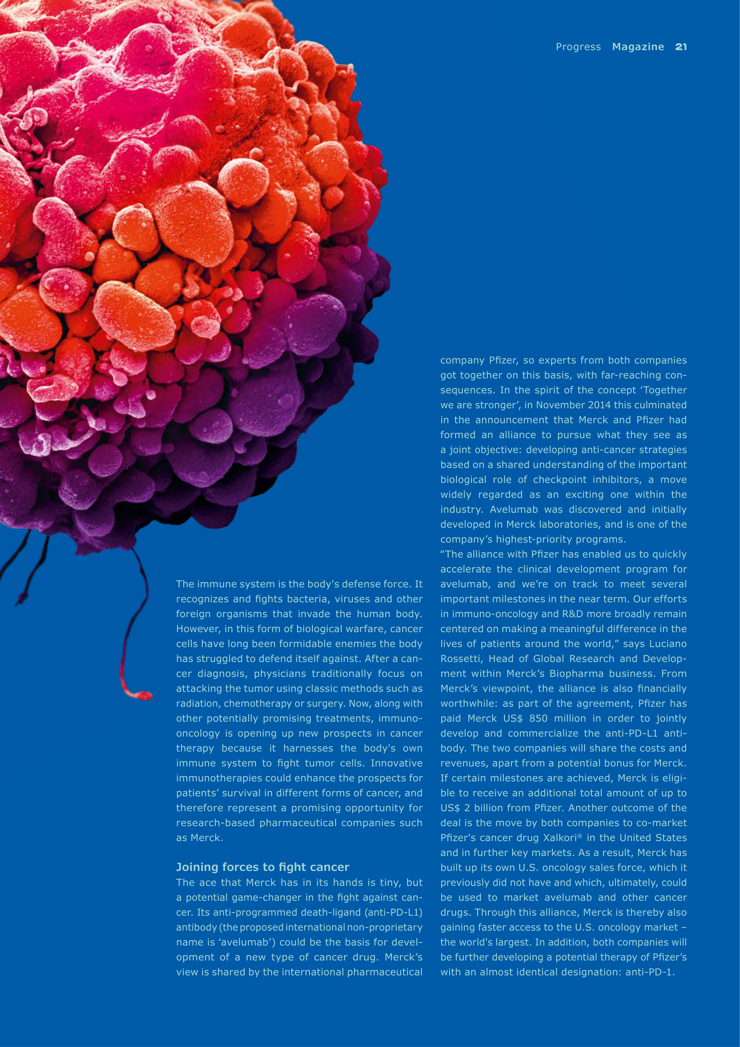 Merck Science Innovation Magazine — page 23