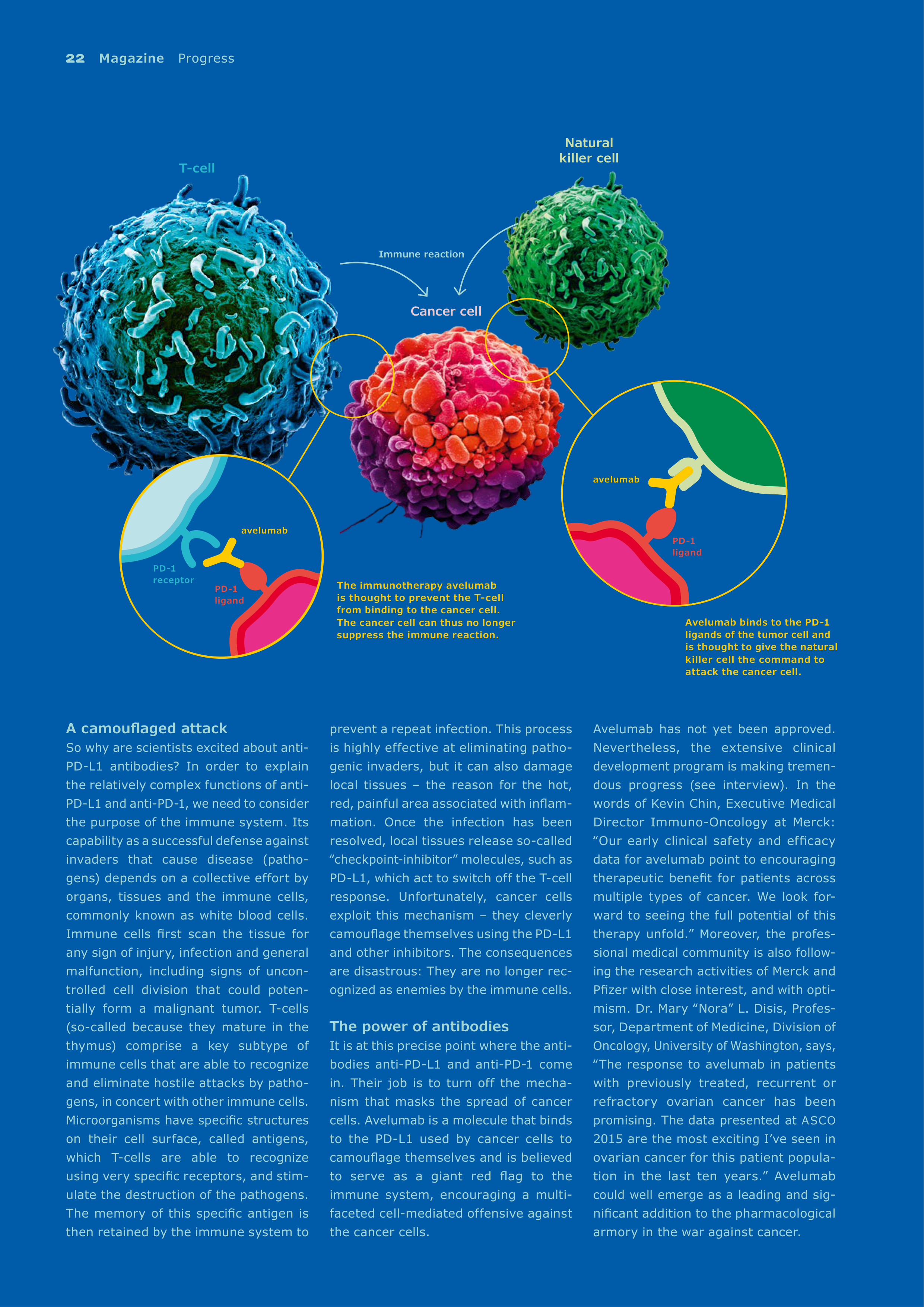 Merck Science Innovation Magazine — page 24