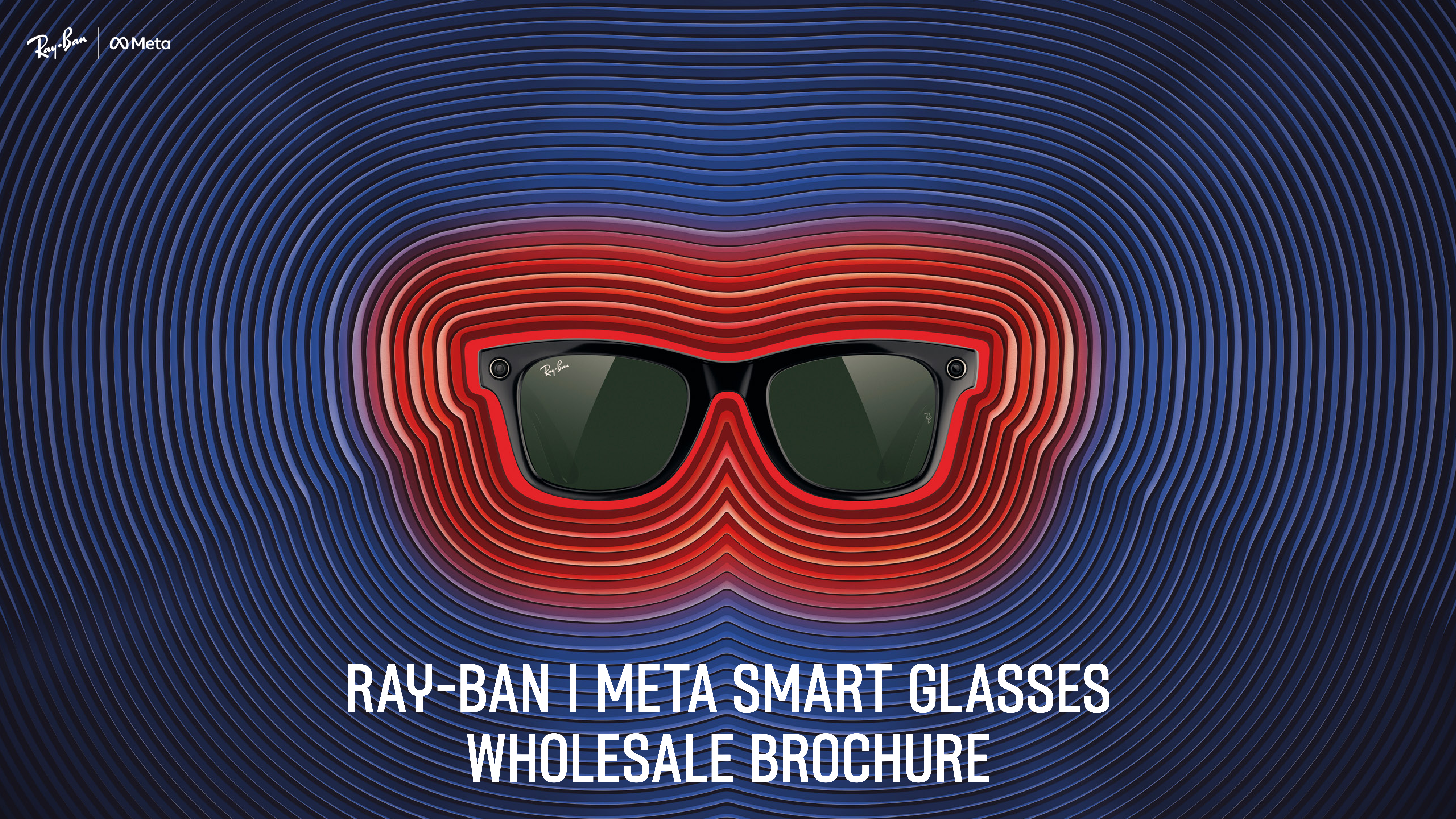 Meta Smart Glasses Brochure — page 1