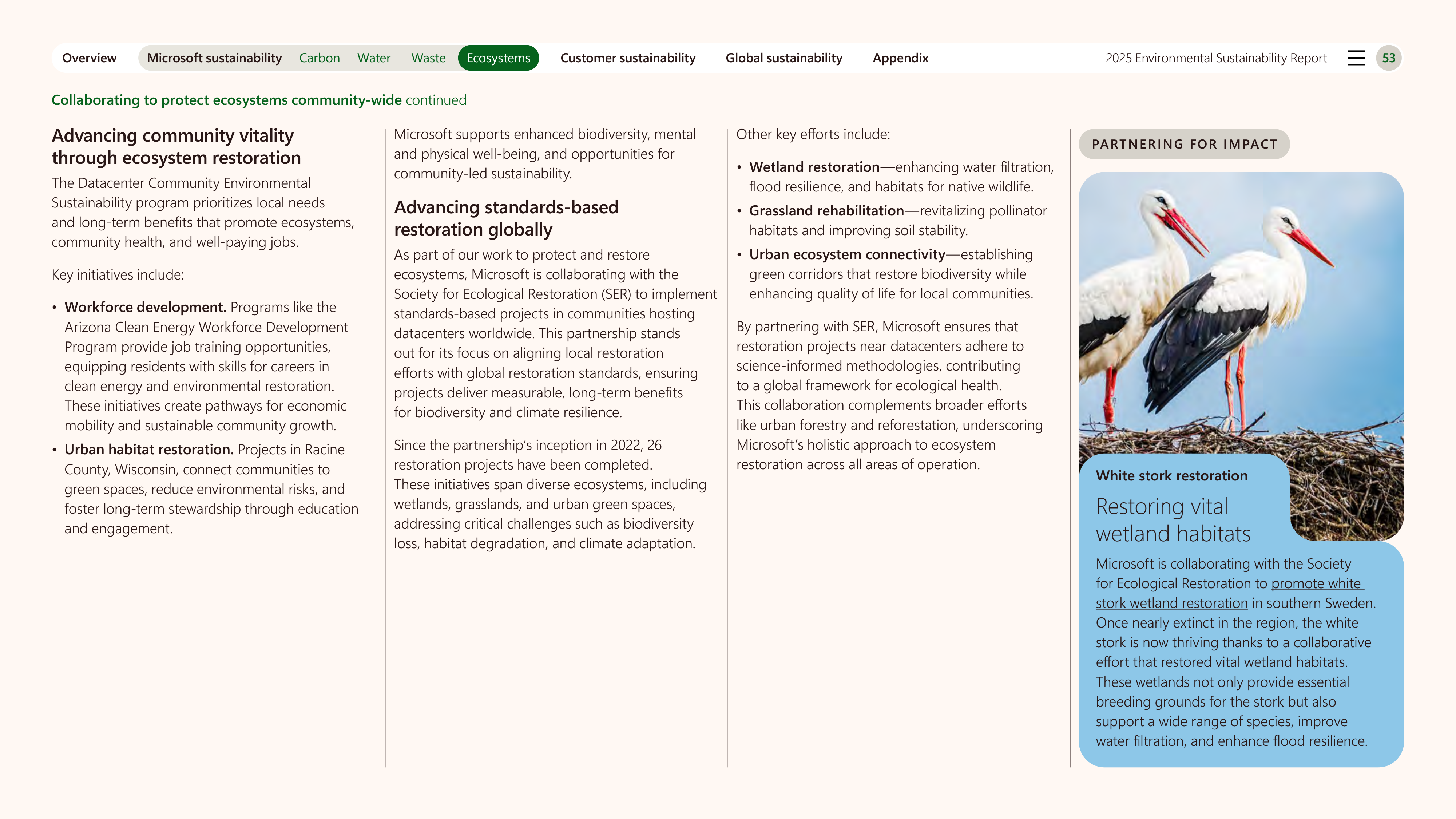 Microsoft Environmental Sustainability Report — page 53