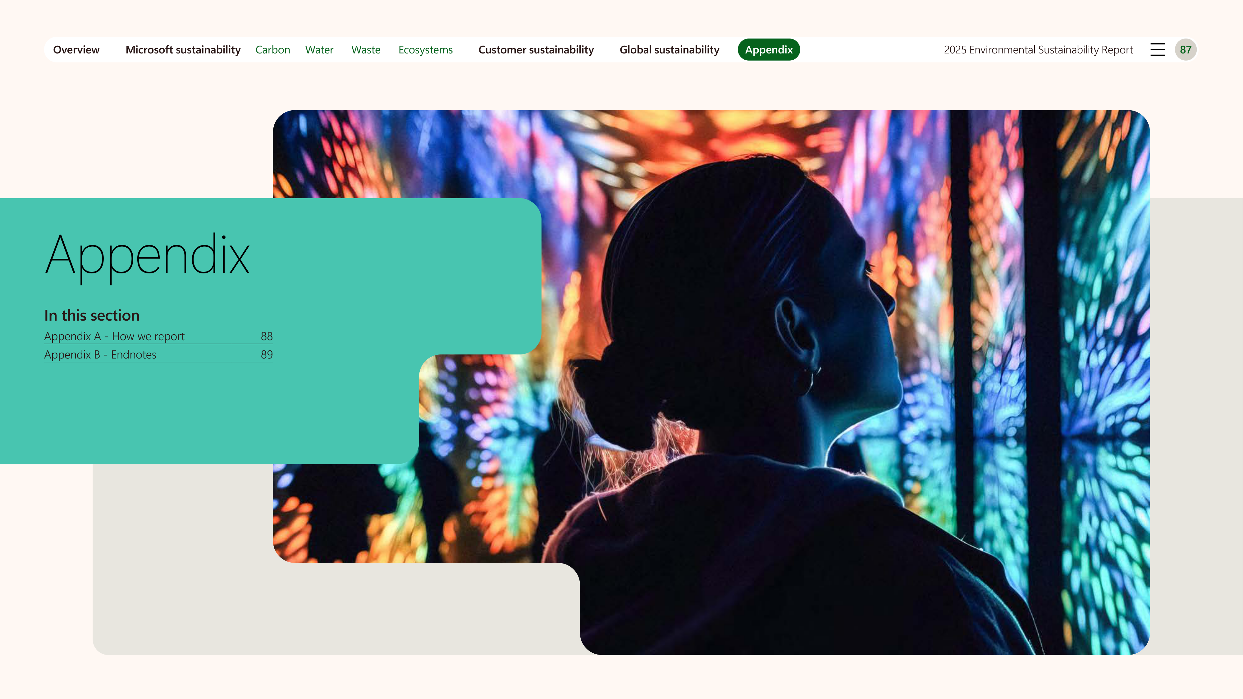 Microsoft Environmental Sustainability Report — page 87