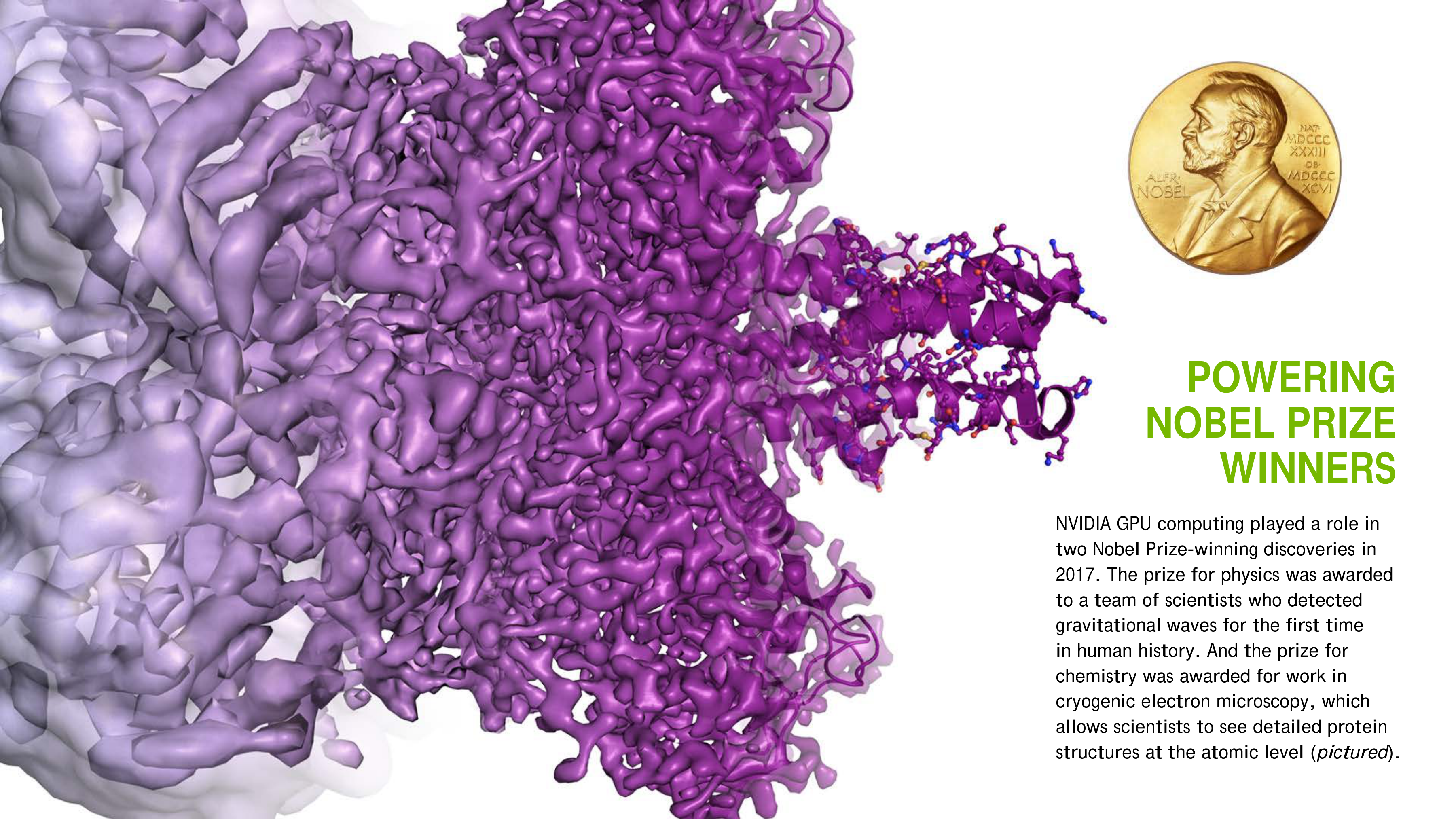 NVIDIA Technology Brochure — page 13