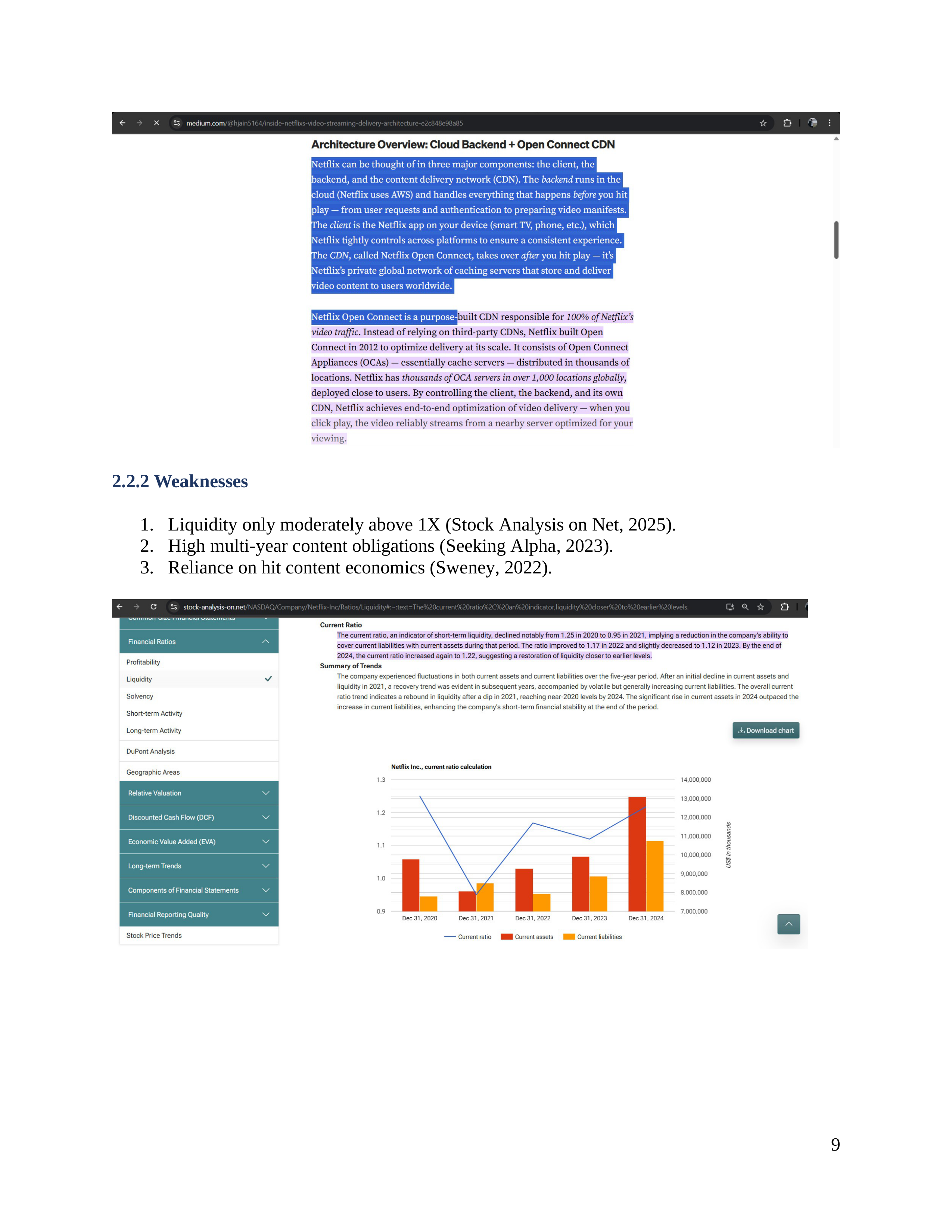 Netflix Business Plan  — page 10