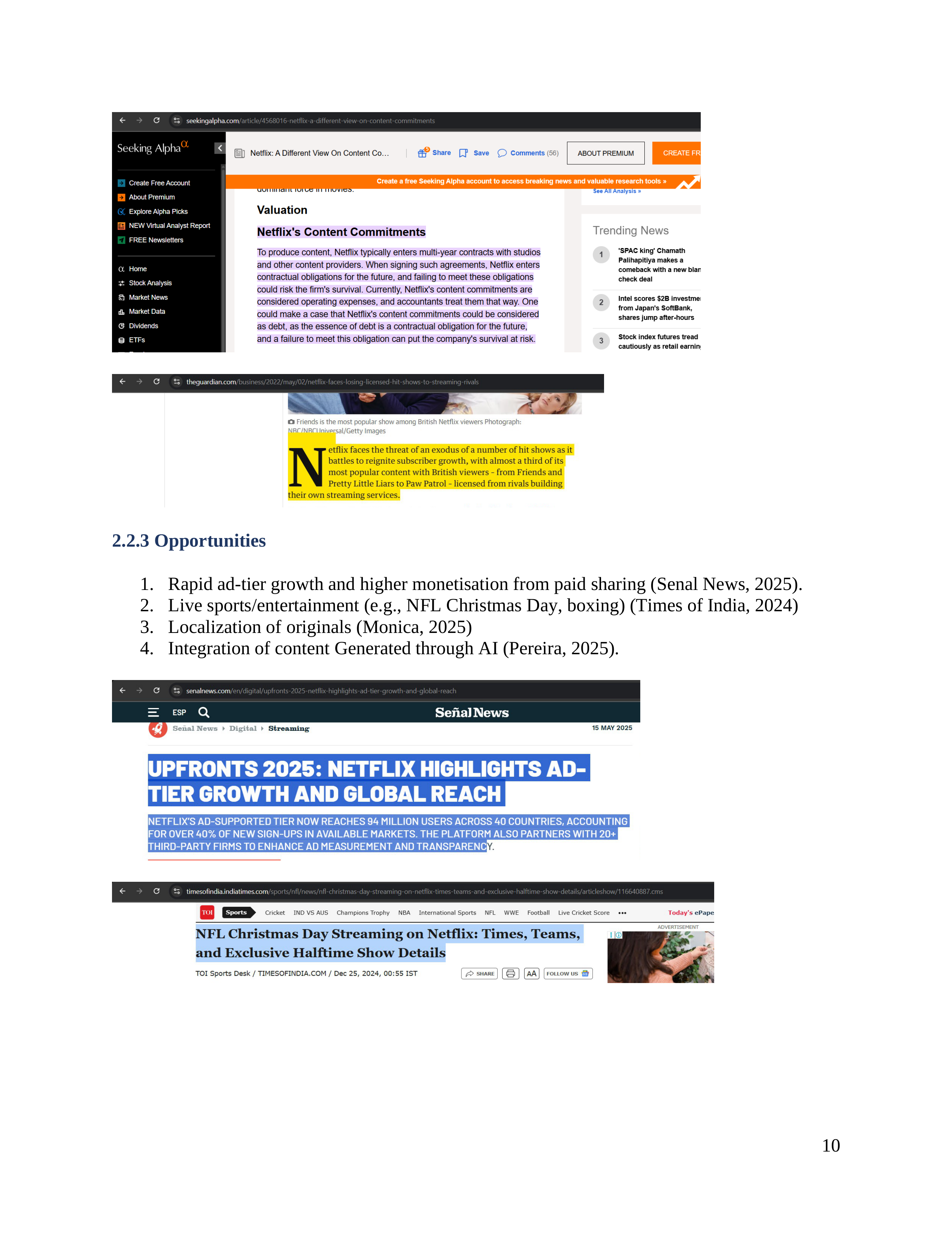 Netflix Business Plan  — page 11